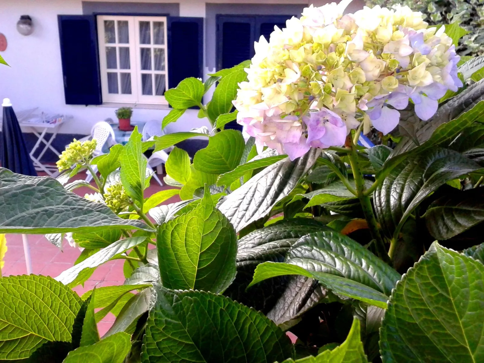 La Terrazza - Buiten