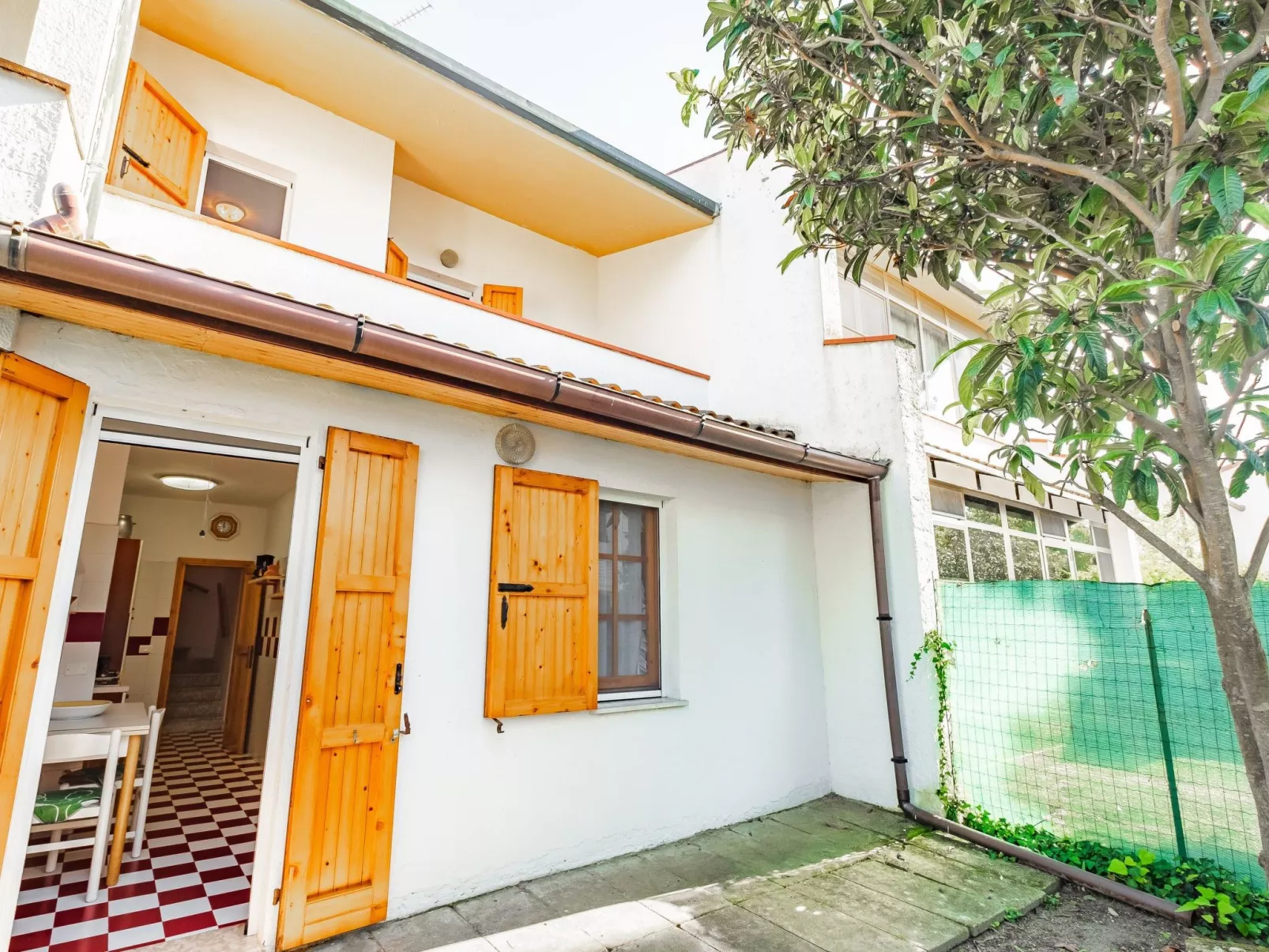 MANGROVIE 2-Image-tags.info