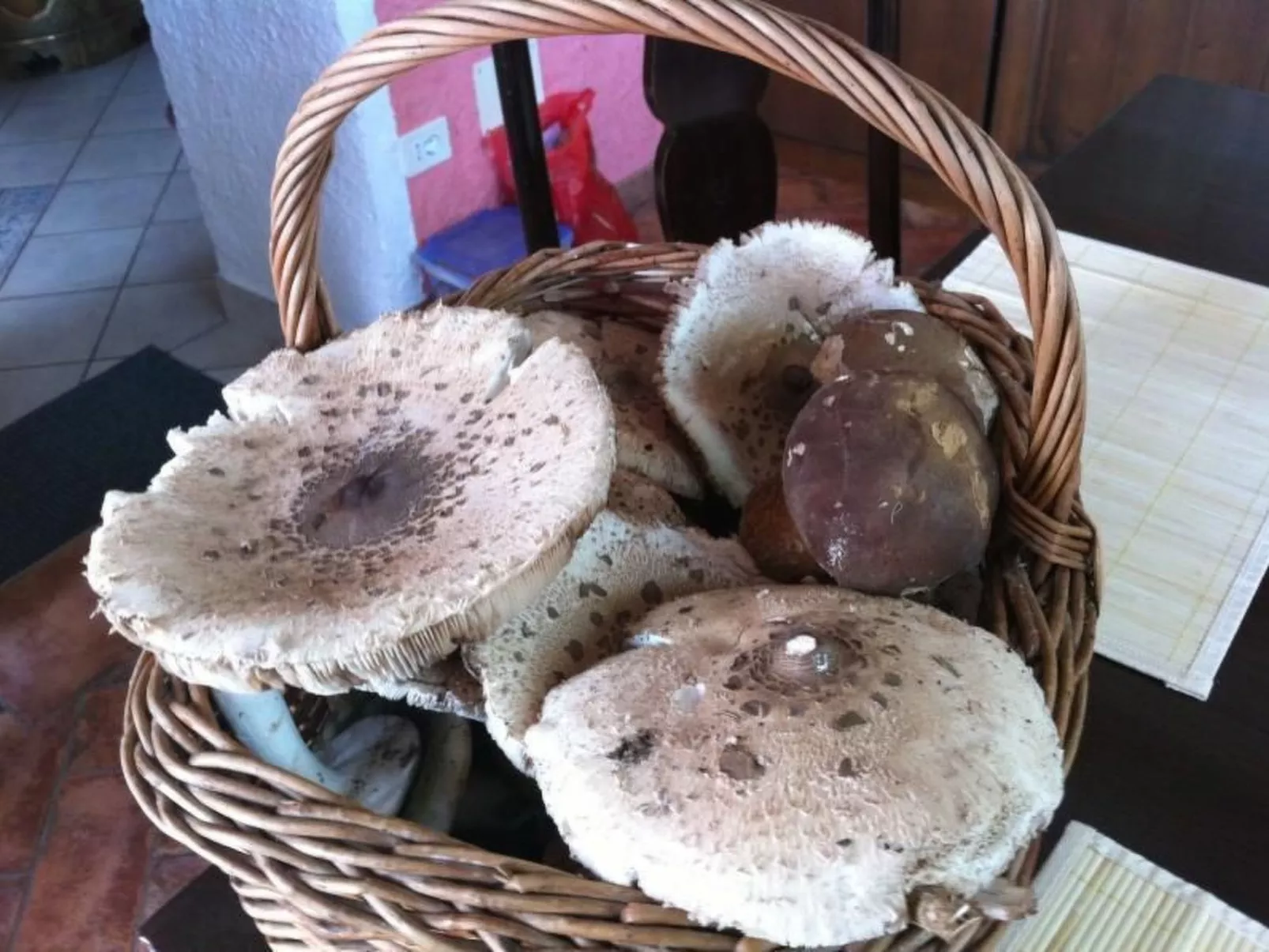 Casa Gingelina-Binnen