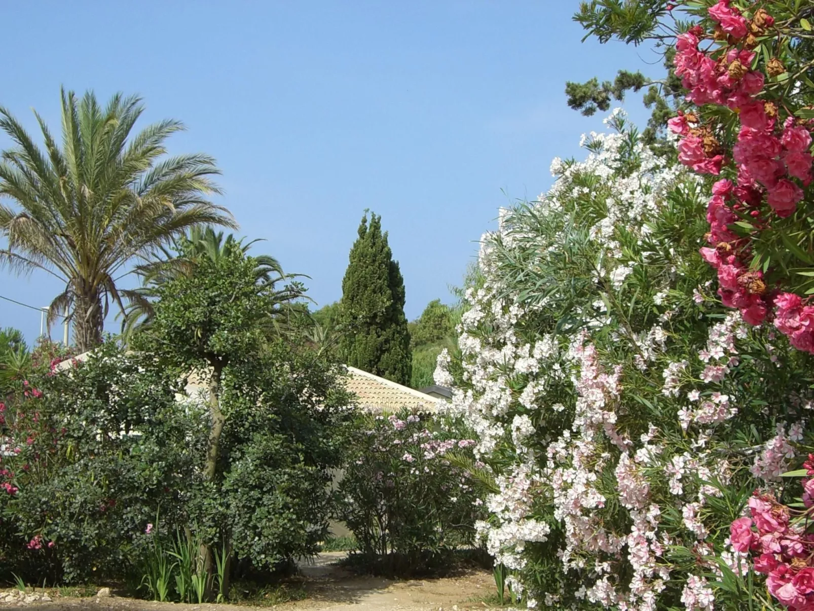 Schöner, neuer und zentraler Bungalow direkt am Sandstrand auf Sizilien-Buiten