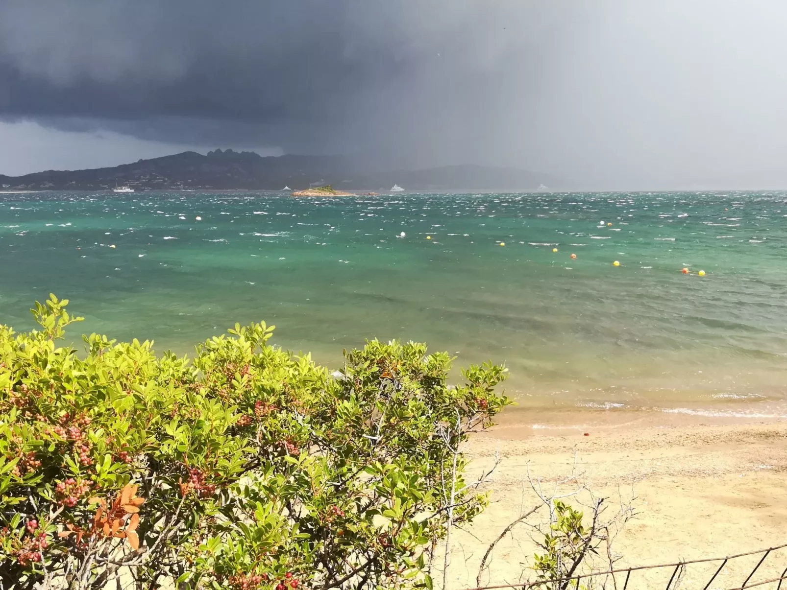 Charmante Wohnung Lungomare Cannigione-Buiten