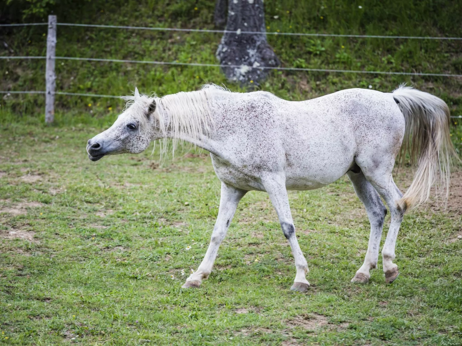 'Case Cioni-torretta-Buiten