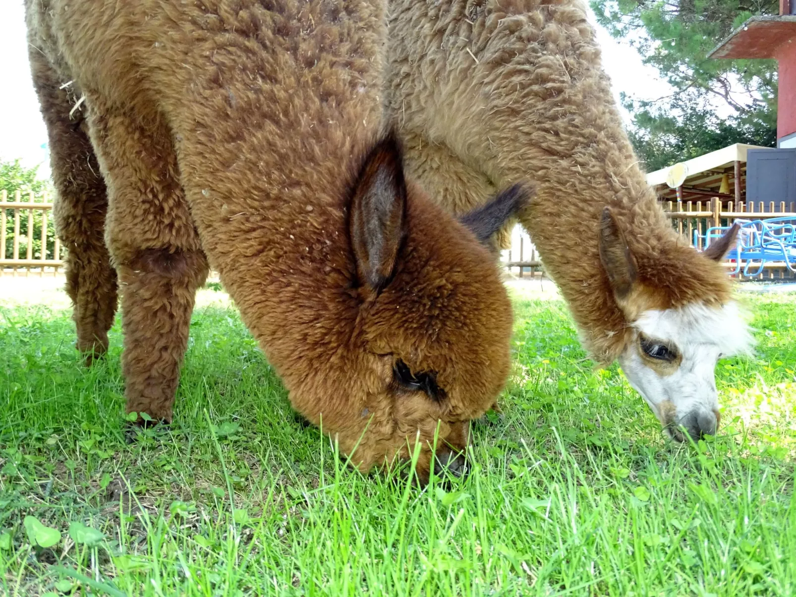 Ein Urlaub im Grünen-Buiten