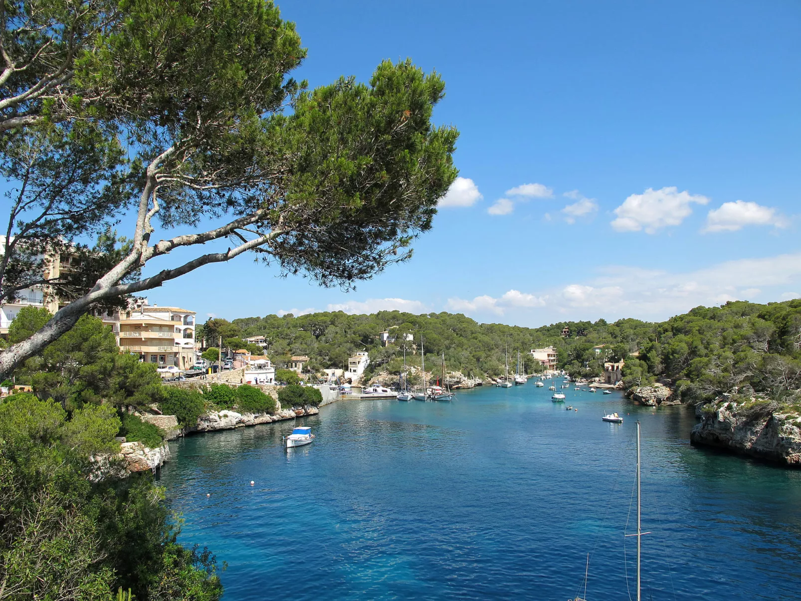 "Villa Lopez-Omgeving