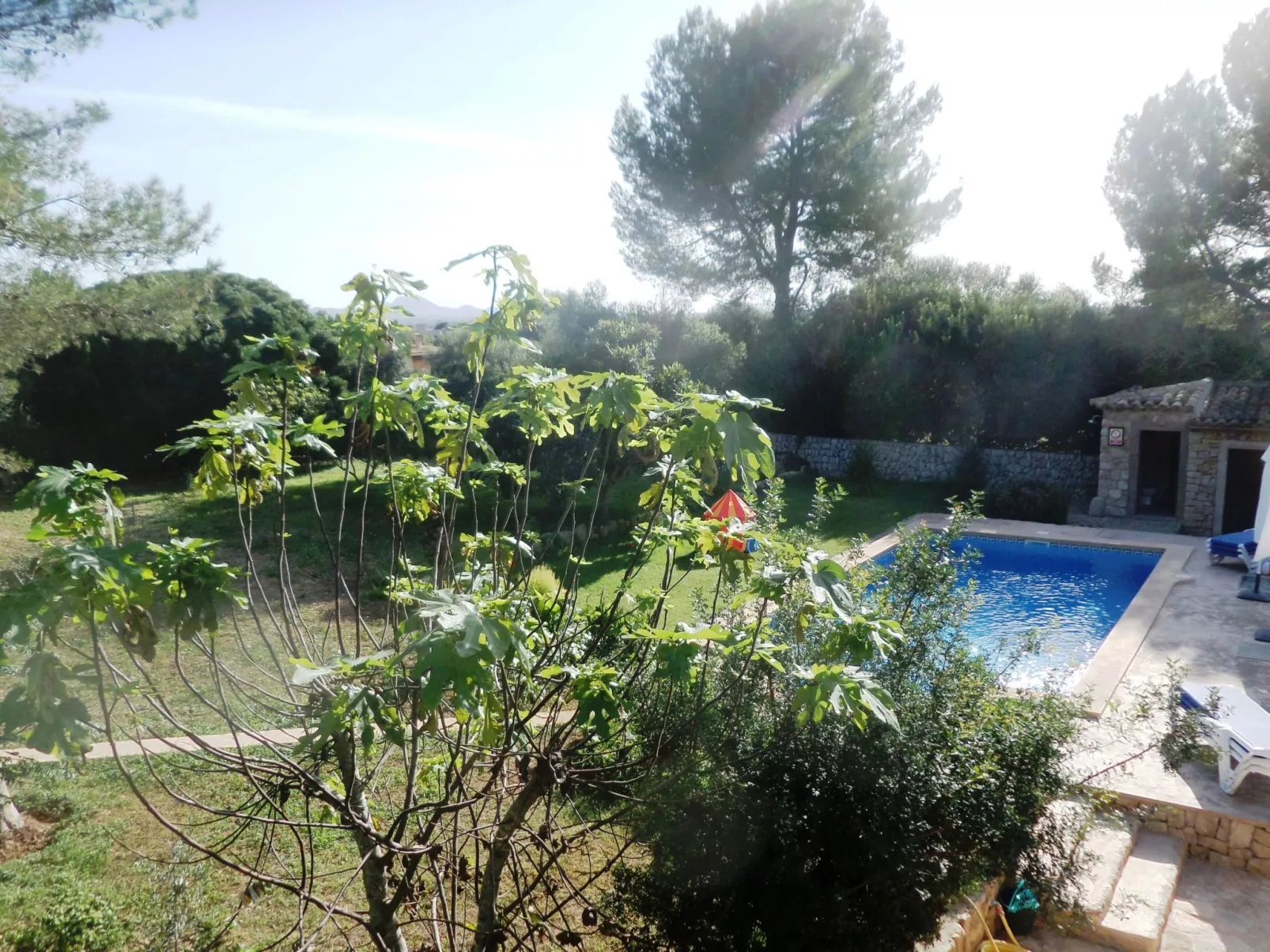 Finca Casa Alba - großer Außenbereich für Kinder-Buiten