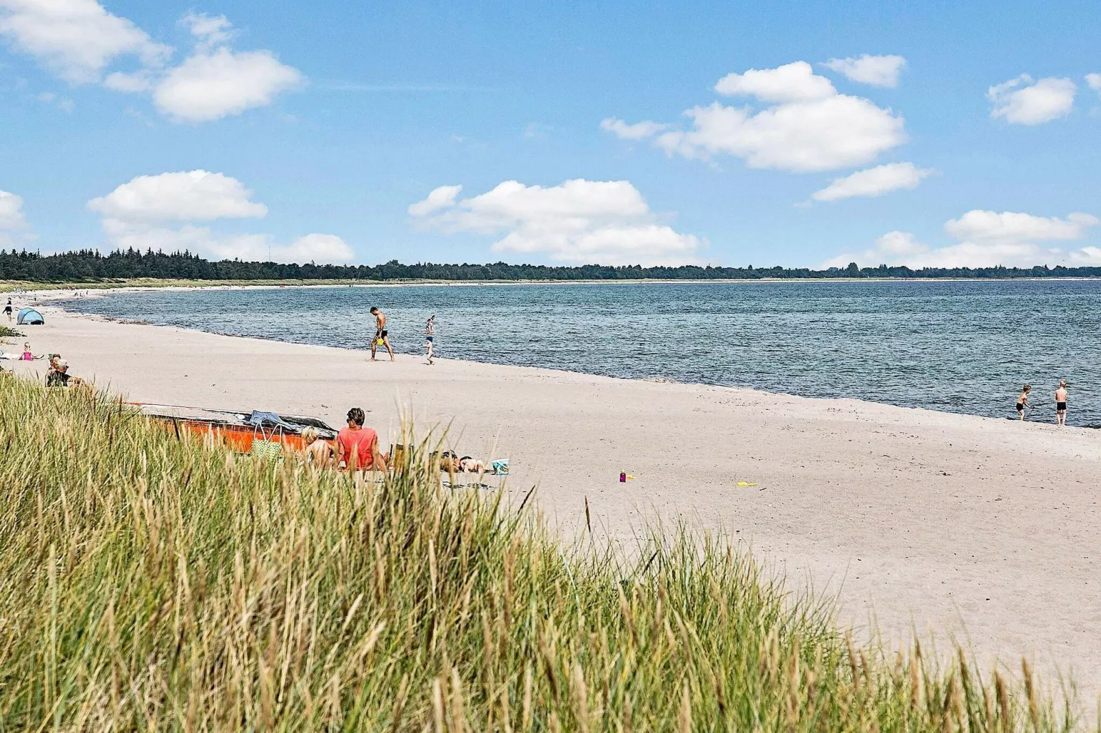 12 persoons vakantie huis in Væggerløse