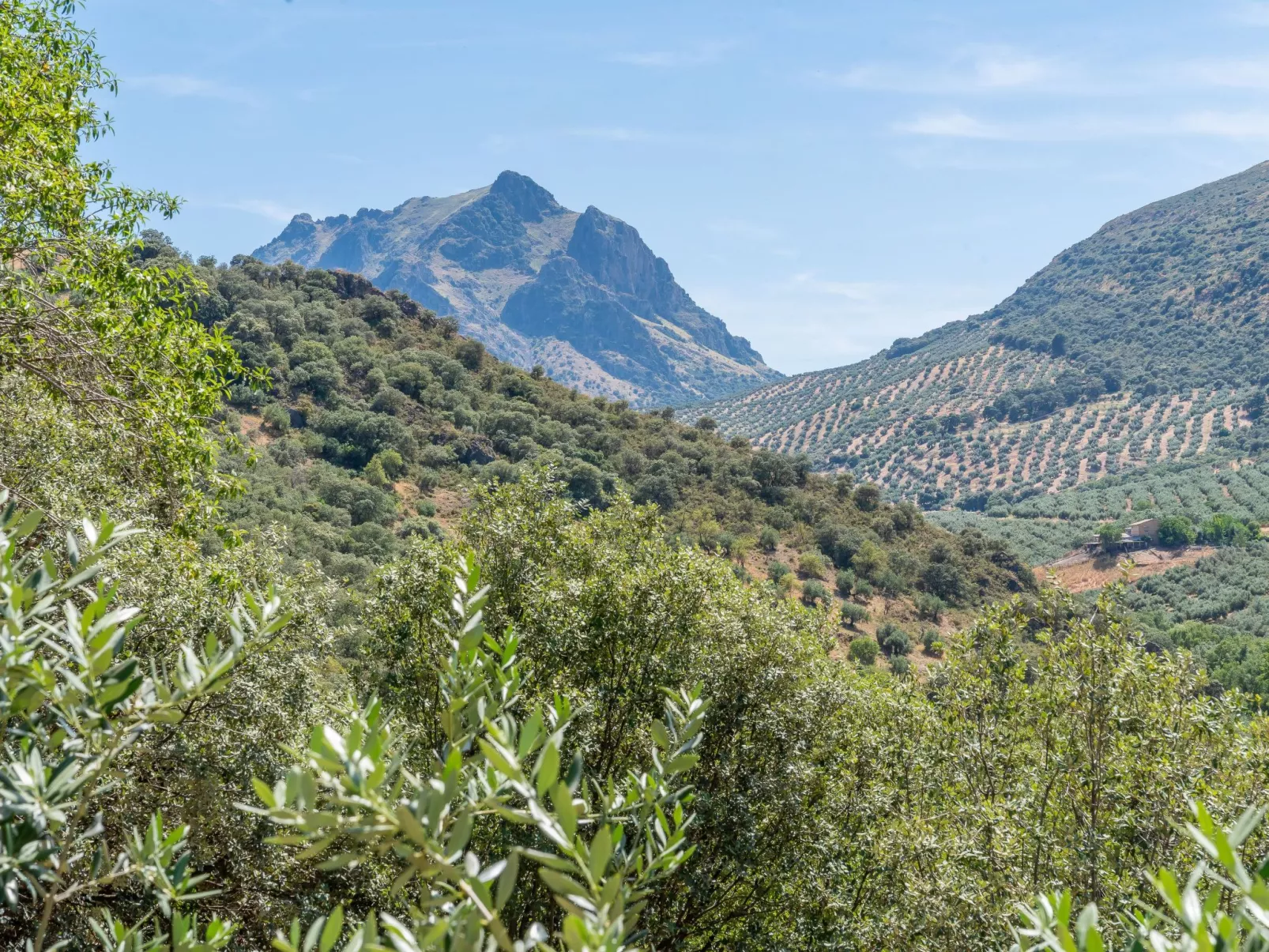 Cerro de la Cruz,charmantes Bauernhaus mit bester Aussicht,im Zentrum Andalusie-Buiten