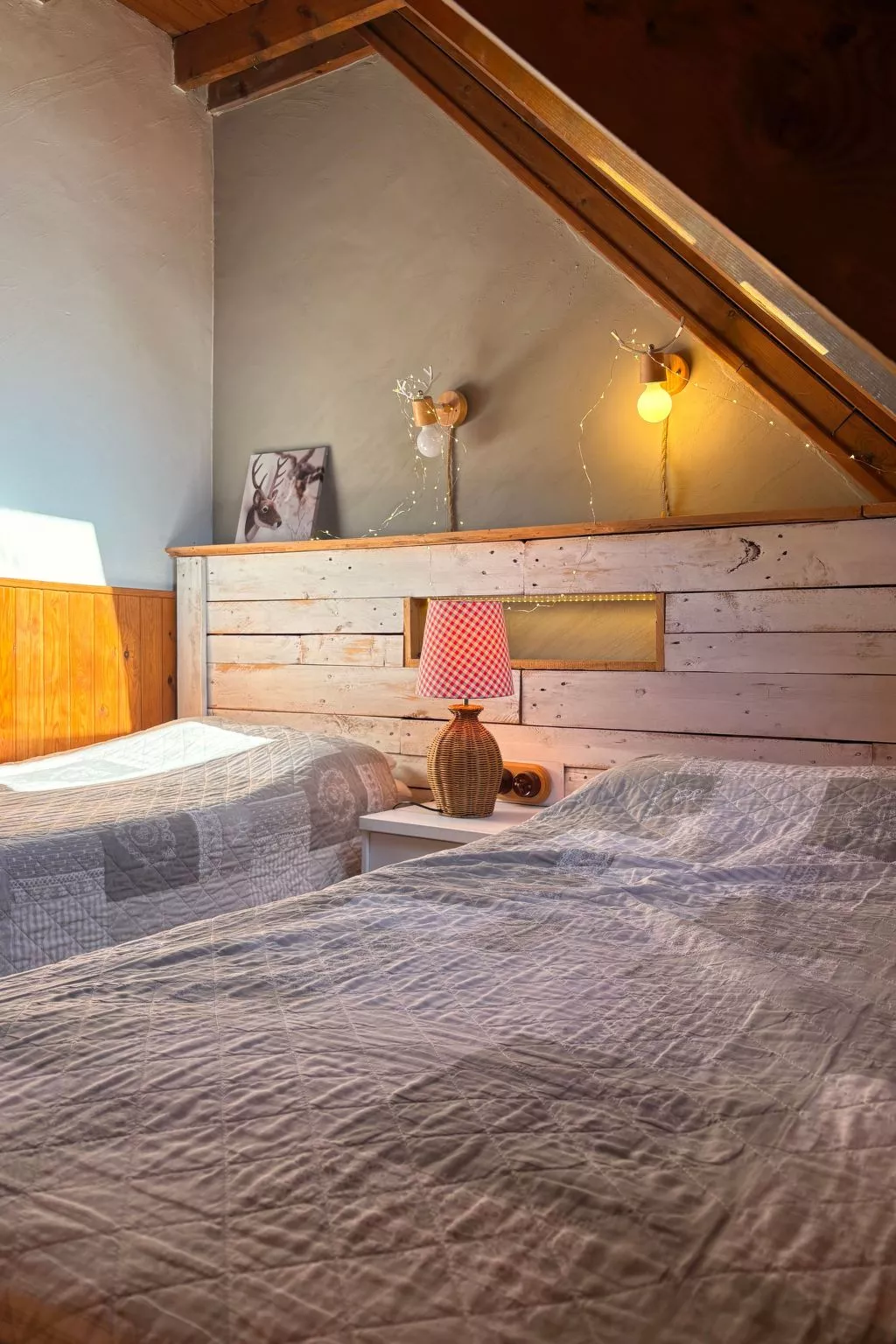 "Herbasabina 4".-Binnen