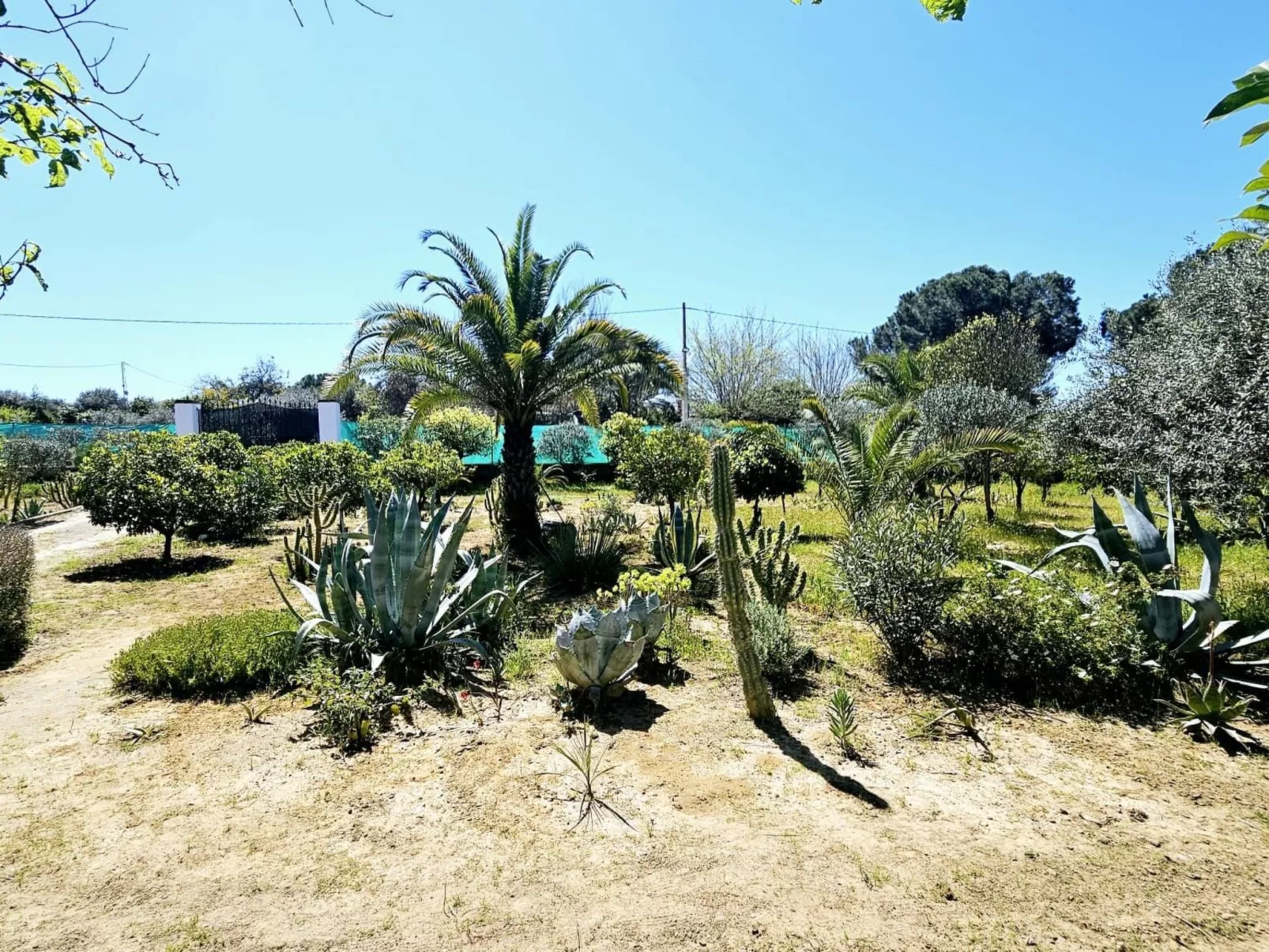 Landhaus Villa Moral-Buiten