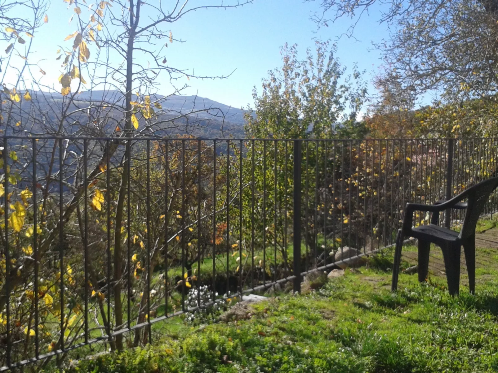 Mit Wasserblick-Image-tags.info