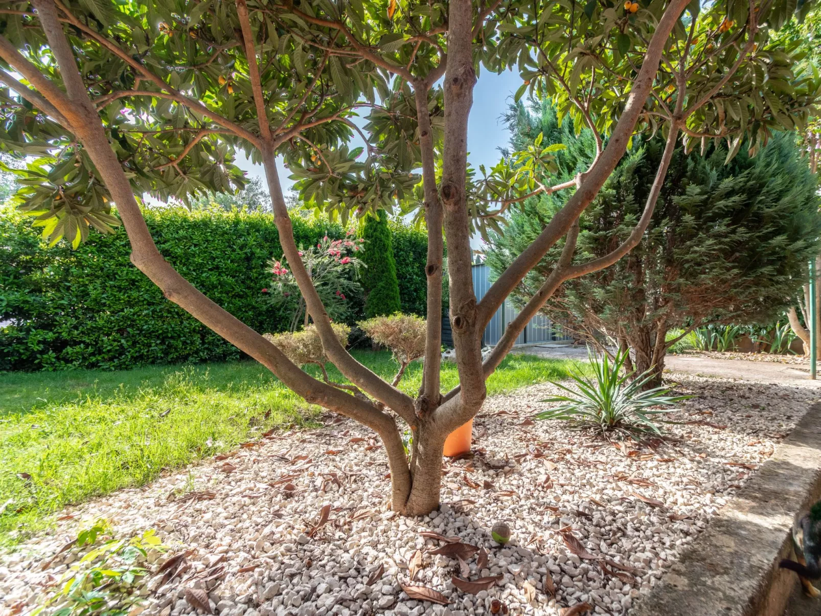 Apartment "Arijana2" mit privater Terrasse-Buiten