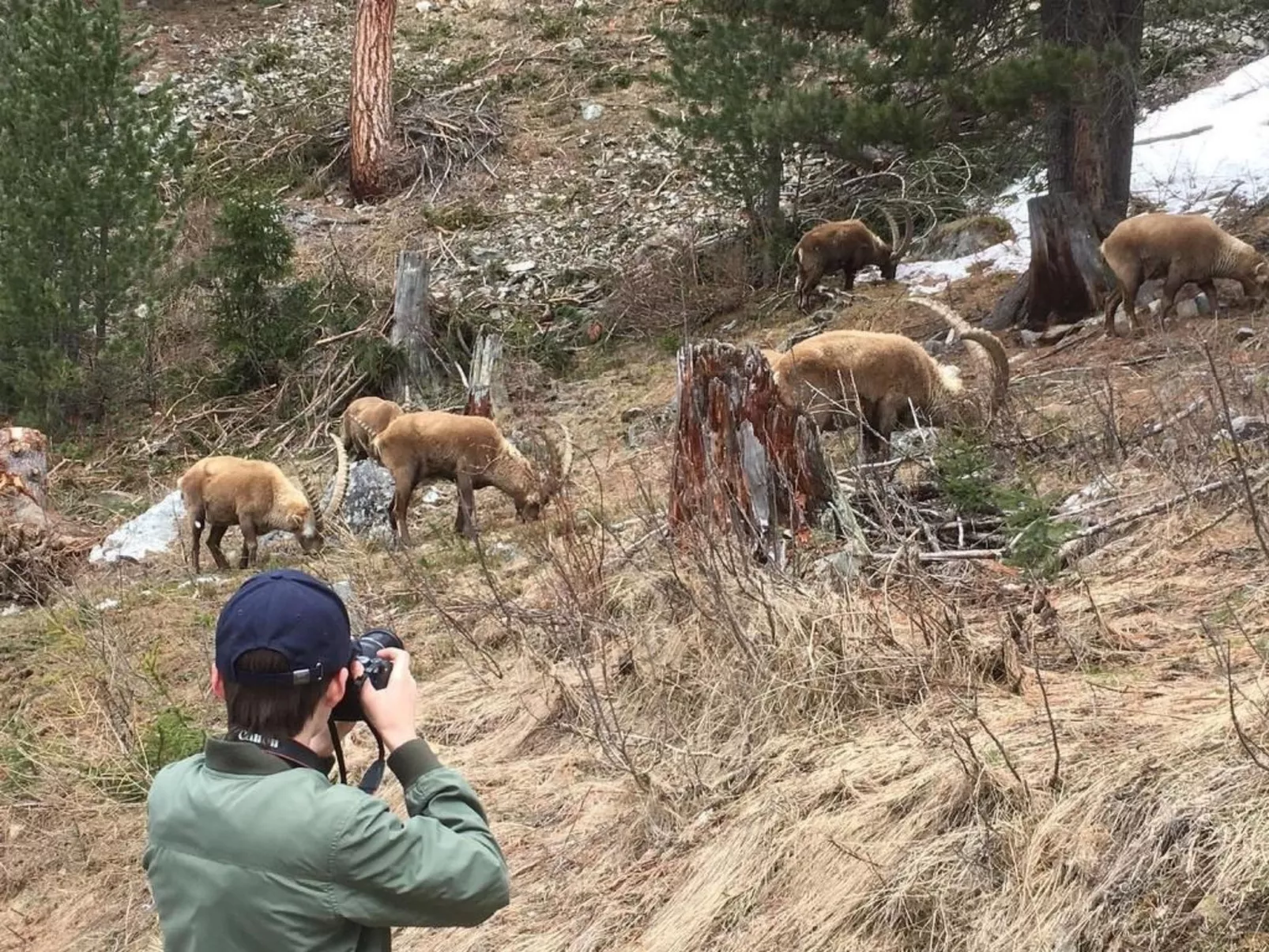 Chesa Andrea, EG-Buiten