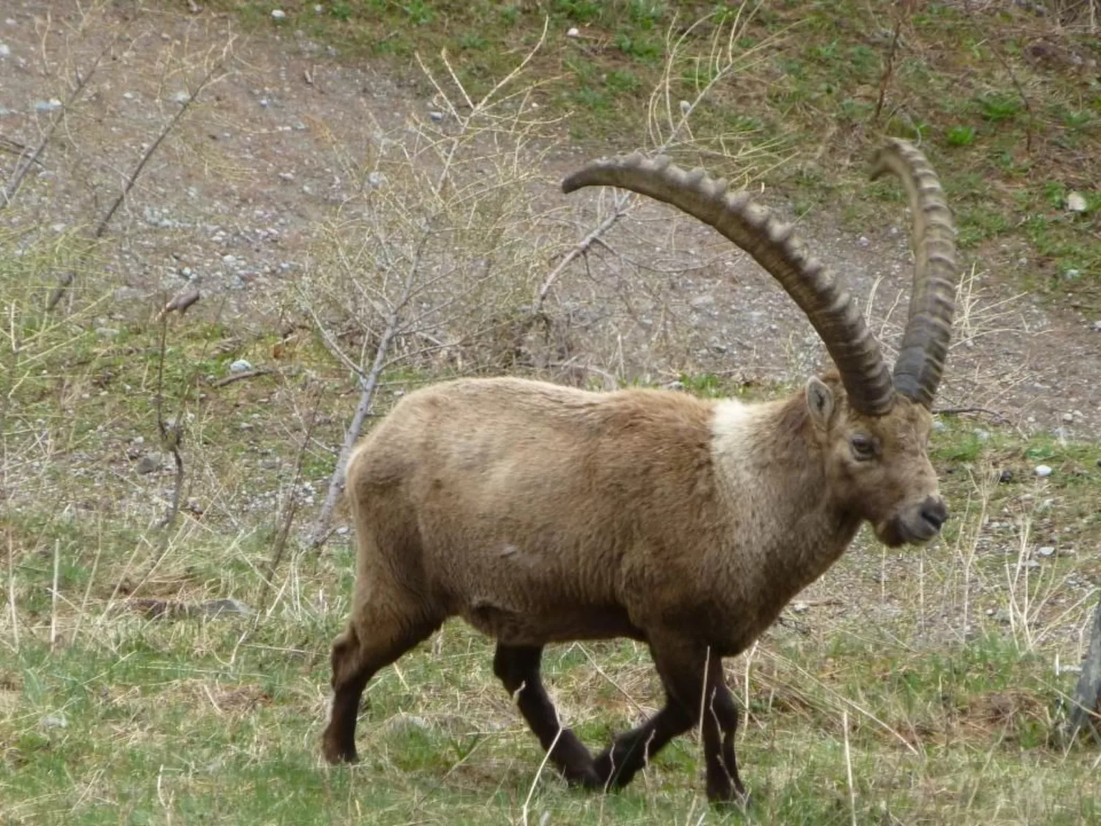 Chesa Vista Mezdi-Buiten