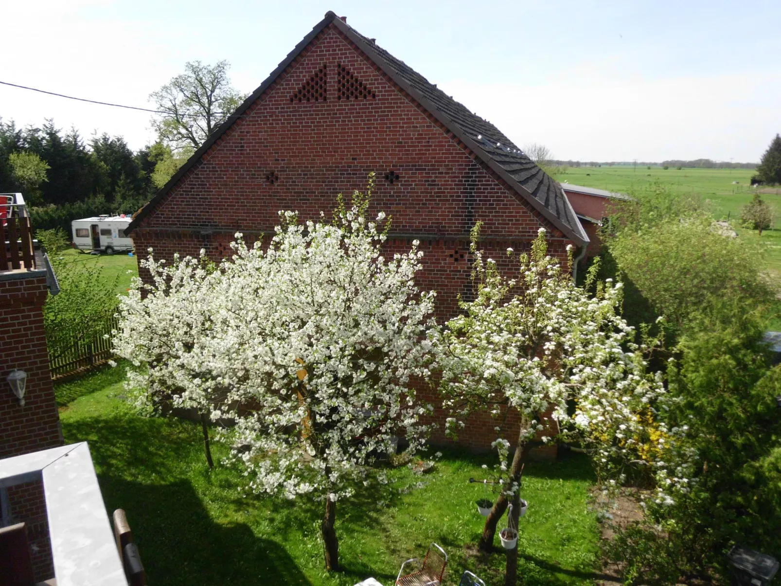 Rodd-Image-tags.info