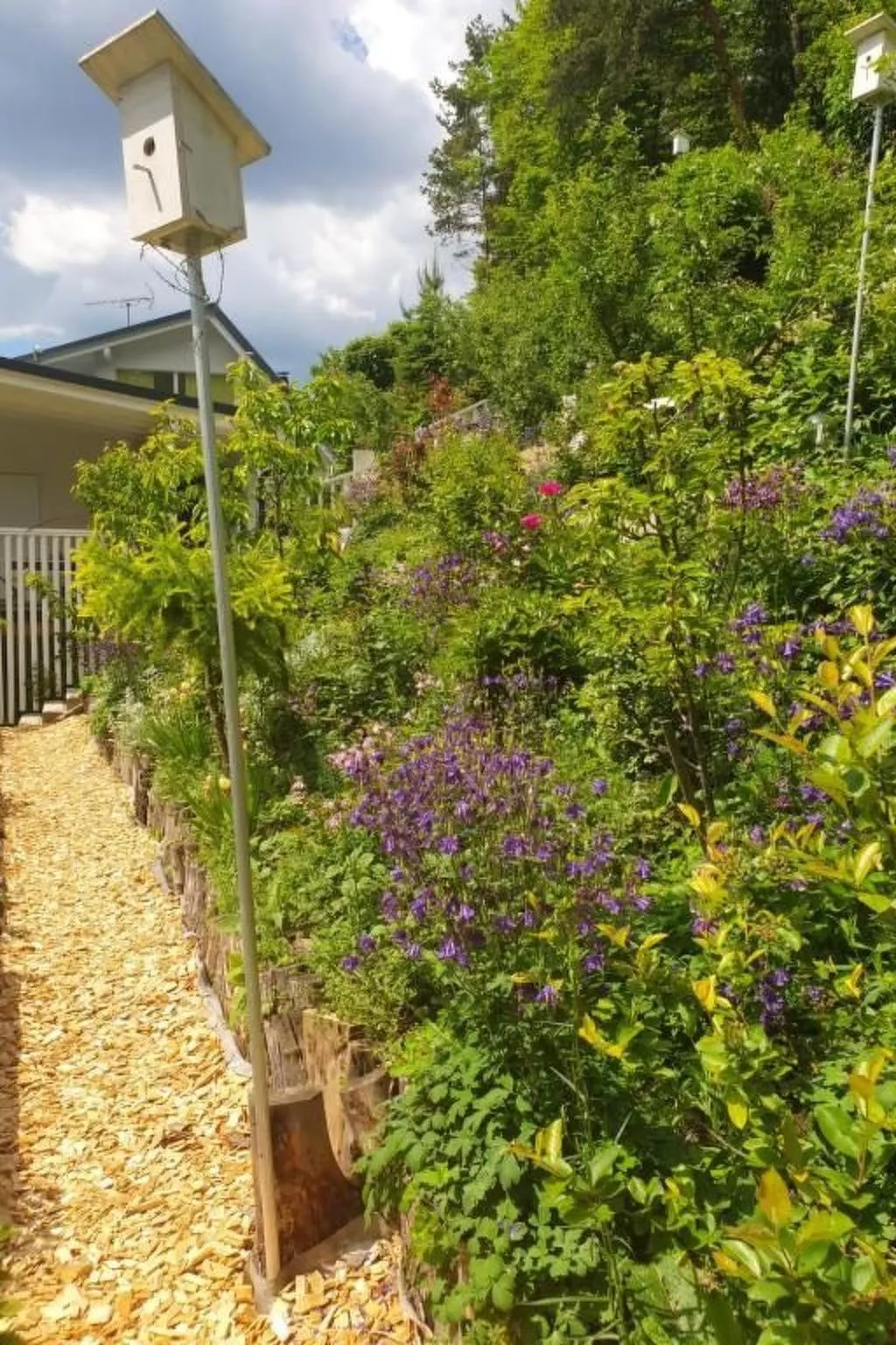 Black & White-Buiten