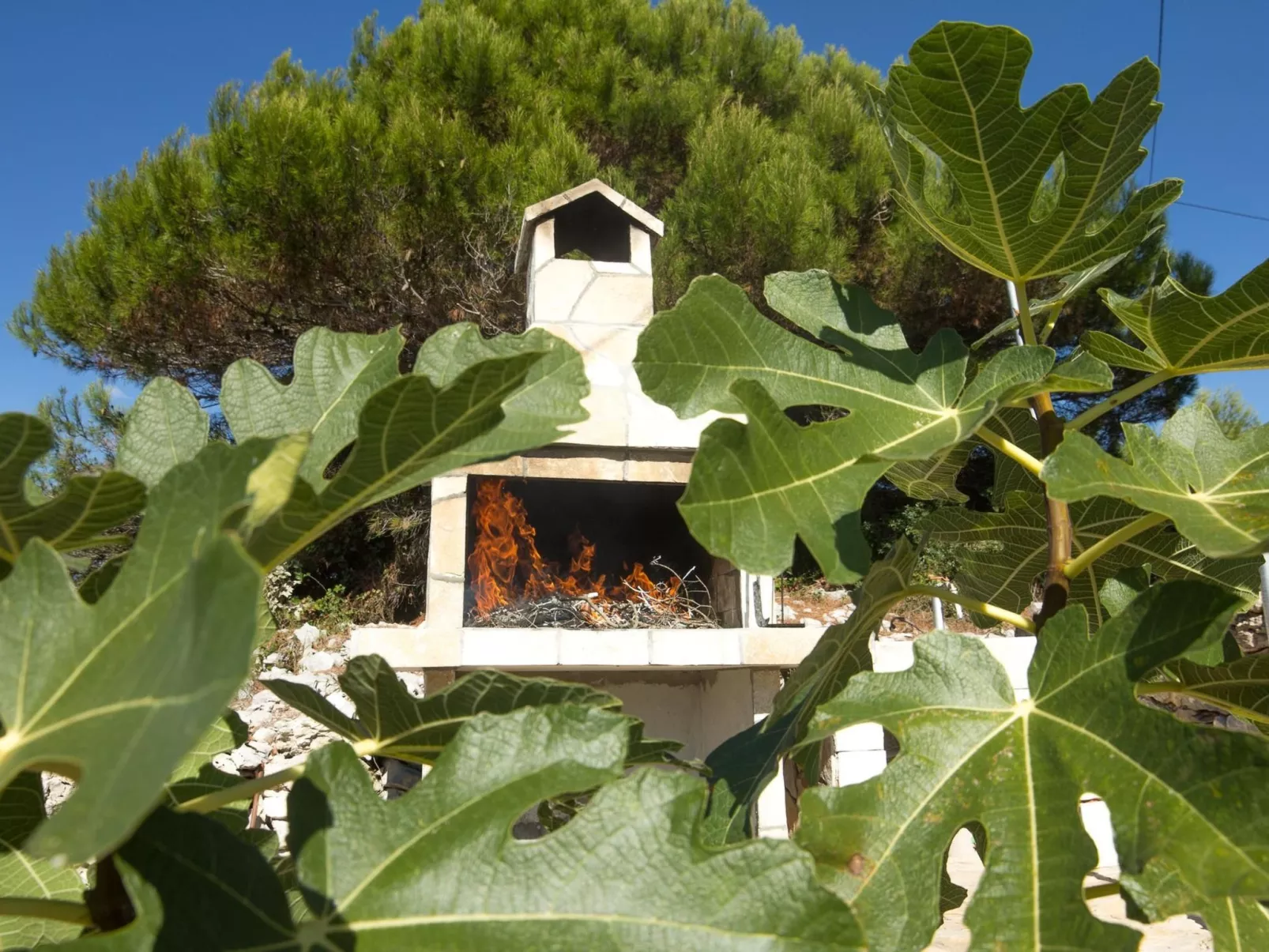 "Mirta" direkt am Strand-Buiten