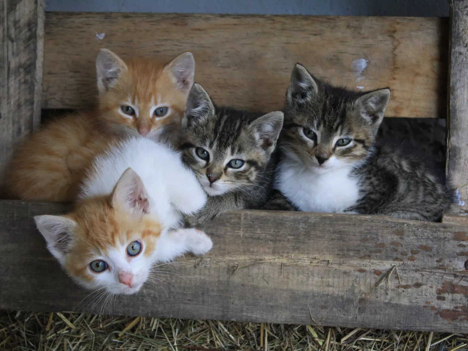 Kleine Fewo - Image-tags.info