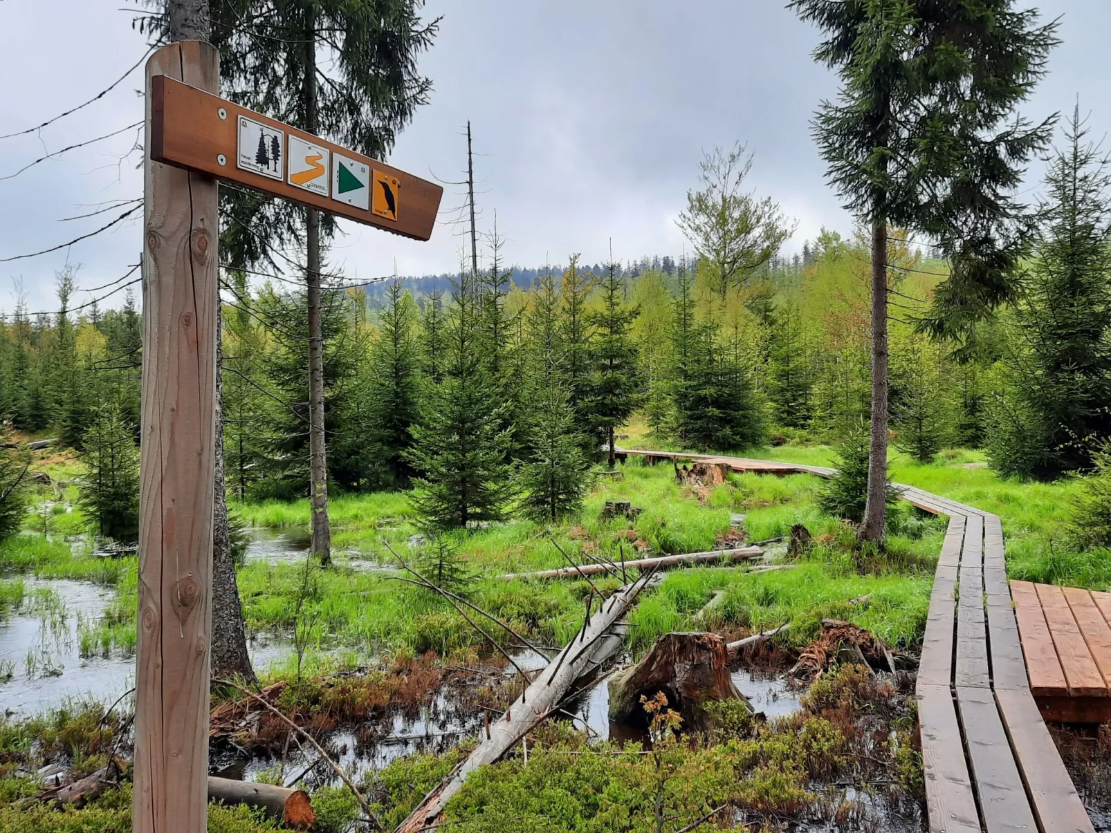 Landhaus Wildfeuer-Buiten