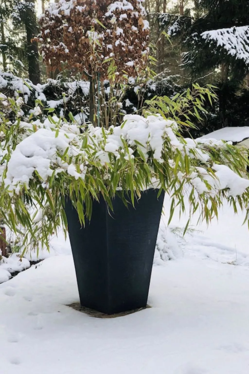 Reetdach Ferienhaus am Lübbesee Sauna Bootsteg neu-Buiten