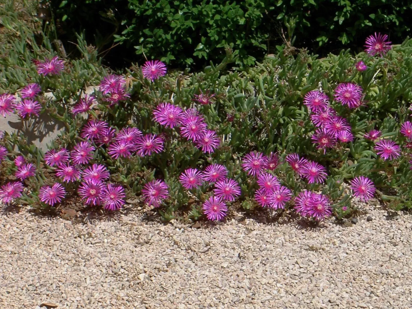 Gemütliches Ferienhaus in Pinezići mit großer Terrasse-Image-tags.info