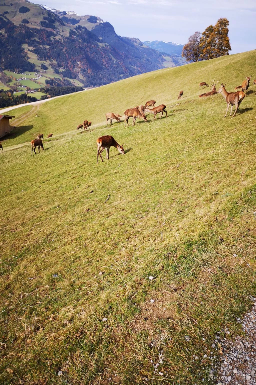 Fewo Rheinfeld-Buiten
