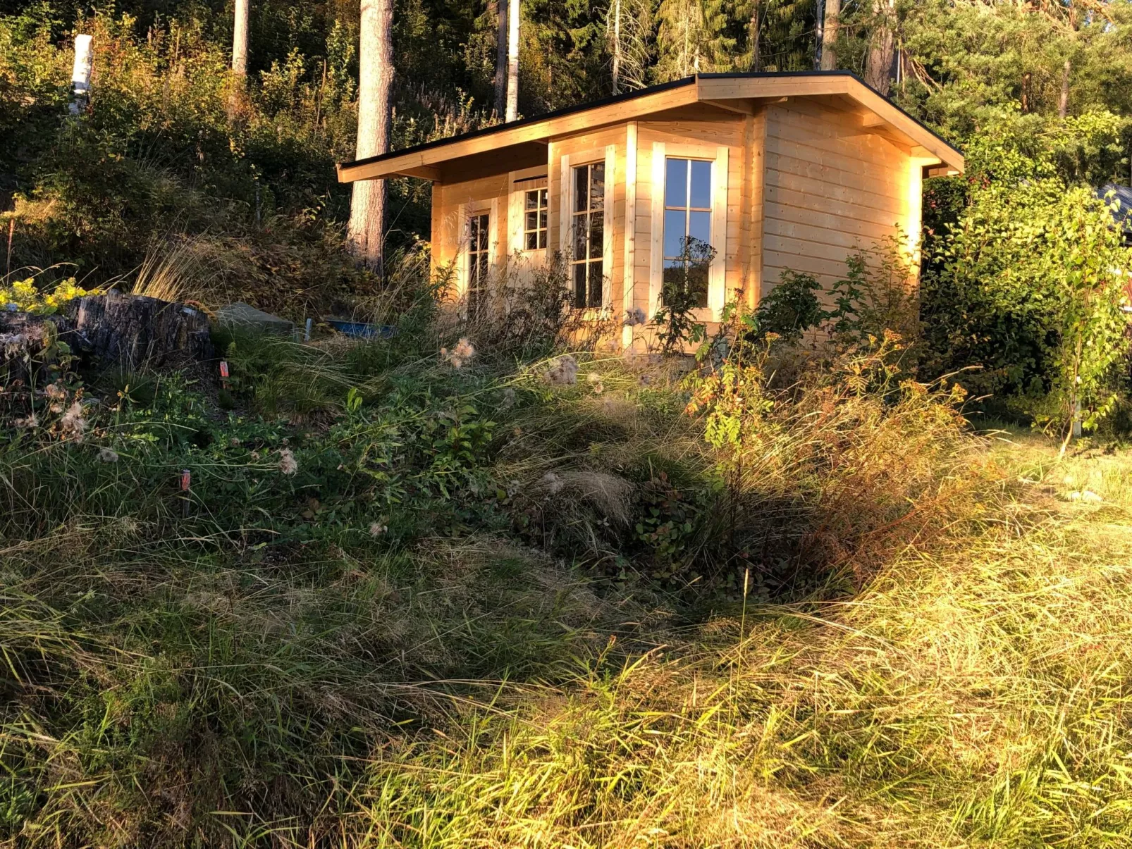 Solbacken Cottage-Buiten