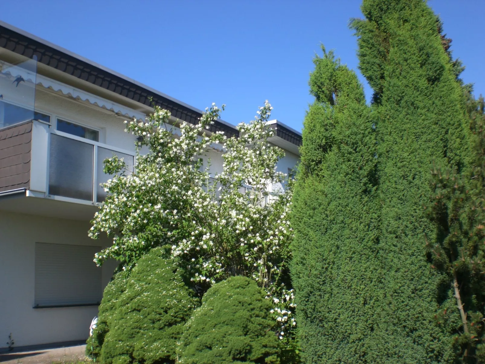 Ambiente in Homberg ot Welferode