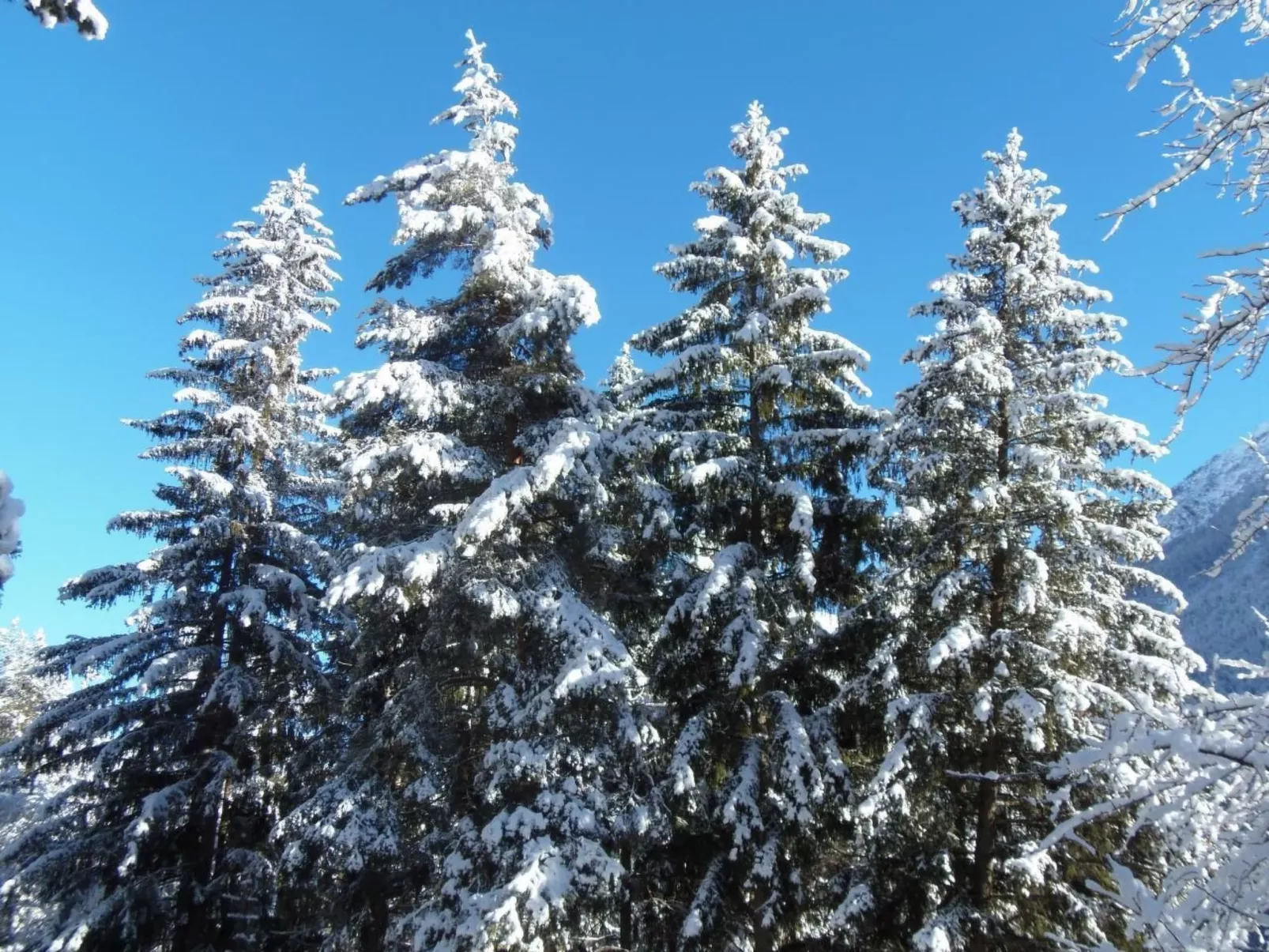 Alte typische Engadinermühle-Buiten