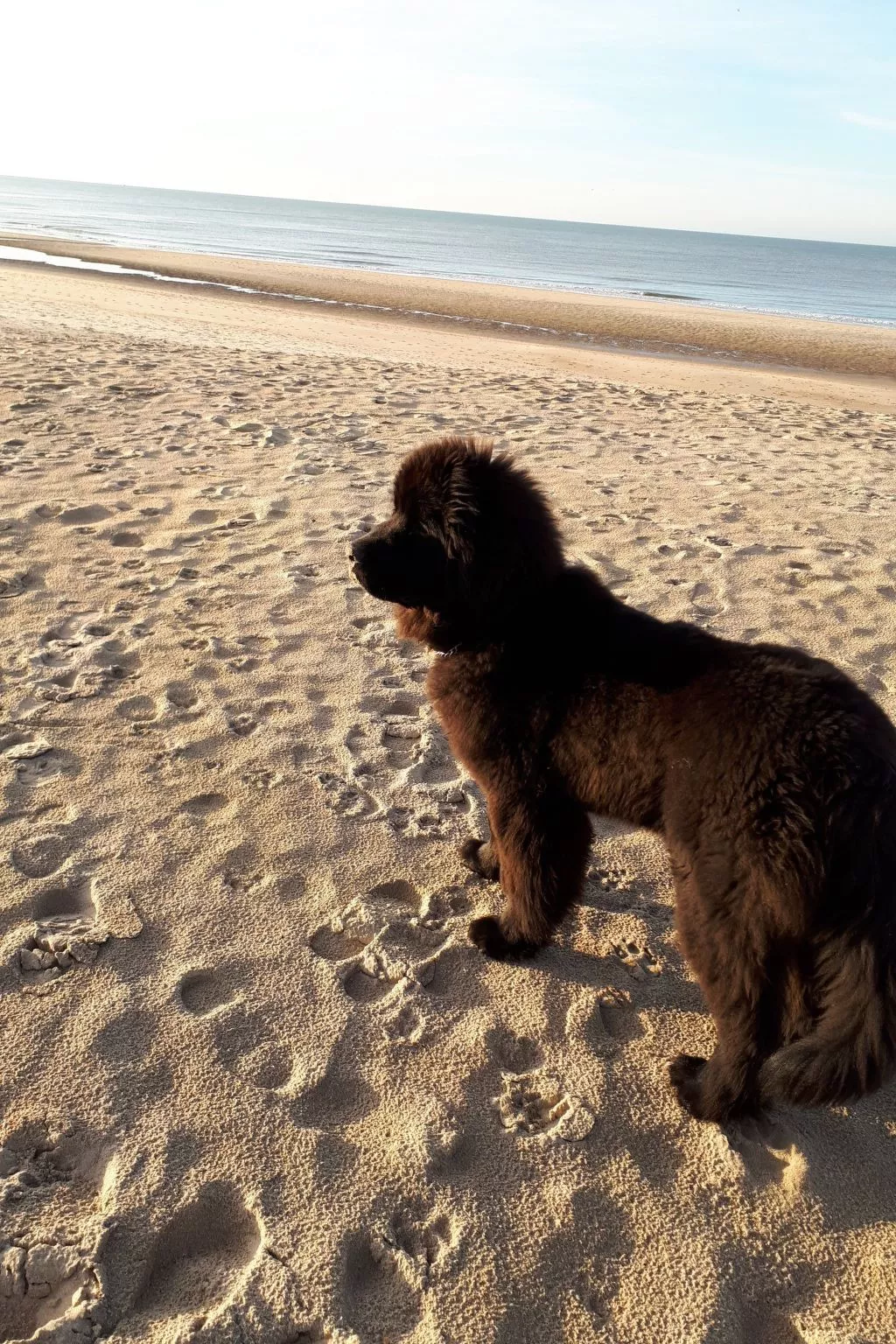 Wohnung "Wie zu Hause" mit Blick auf das Wasser-Buiten