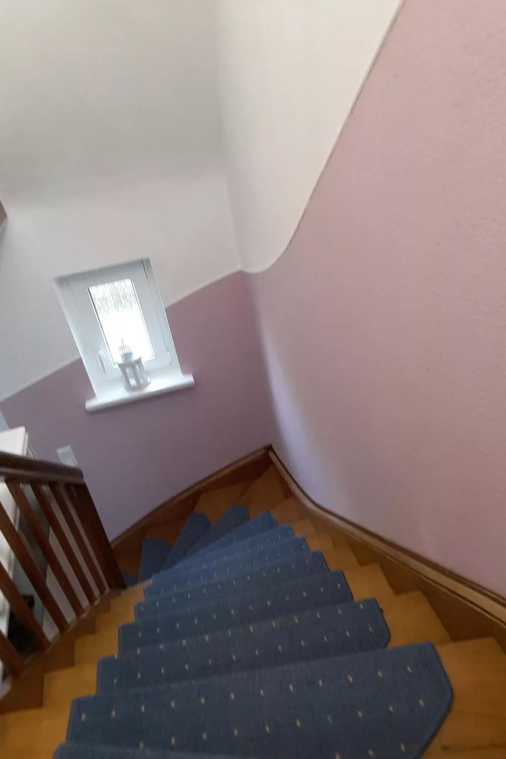 Erholung pur: Nordsee-Urlaub mit Hund-Binnen