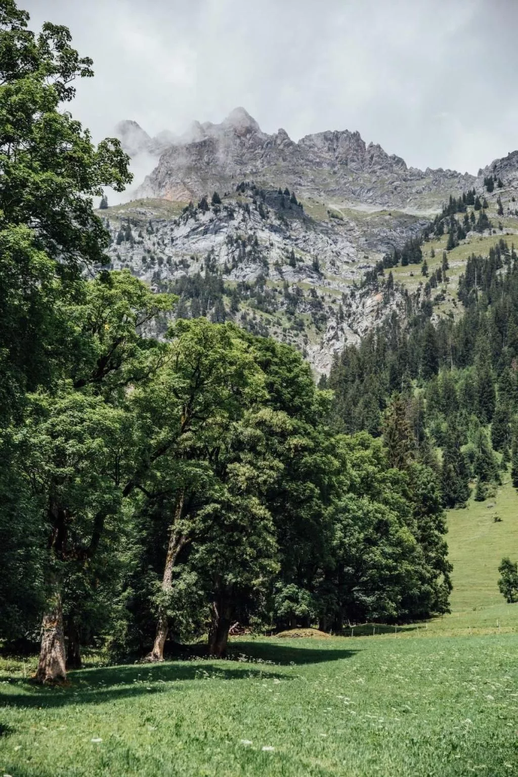 Alphütte Lenk-Gstaad-Image-tags.info