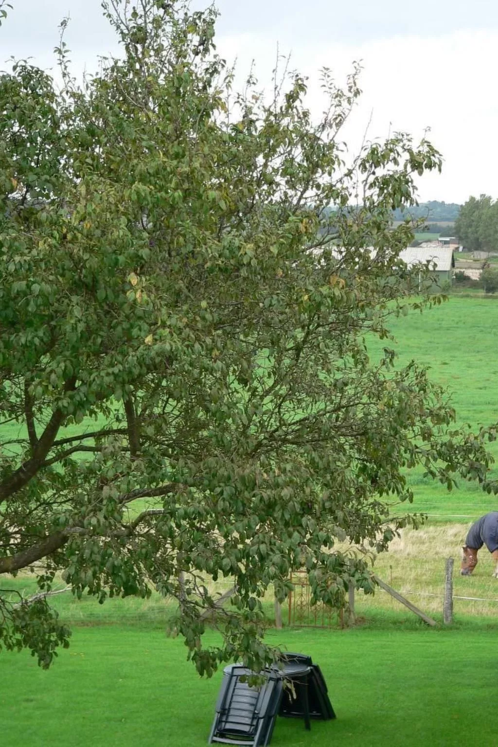 Wohnung Haus mit Herz in Brodersby-Schönhagen-Buiten