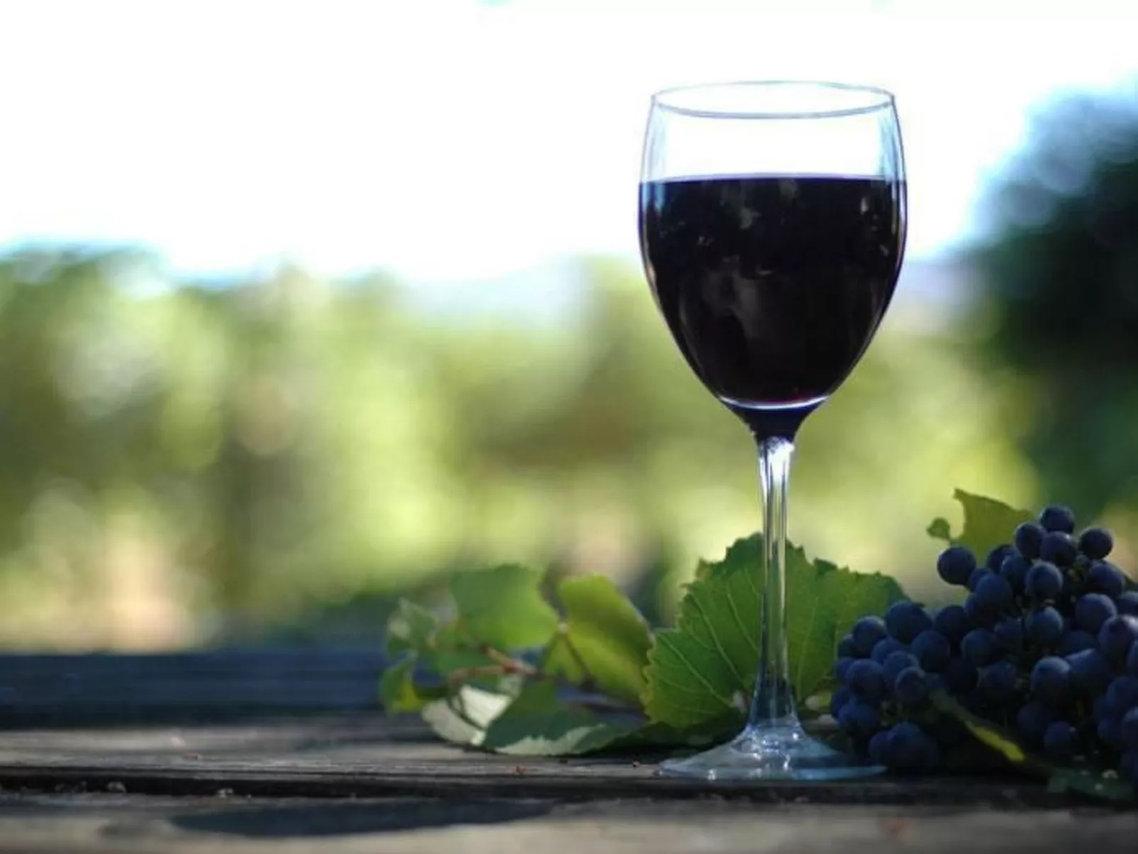 "Ein kleines Paradies"-Image-tags.info