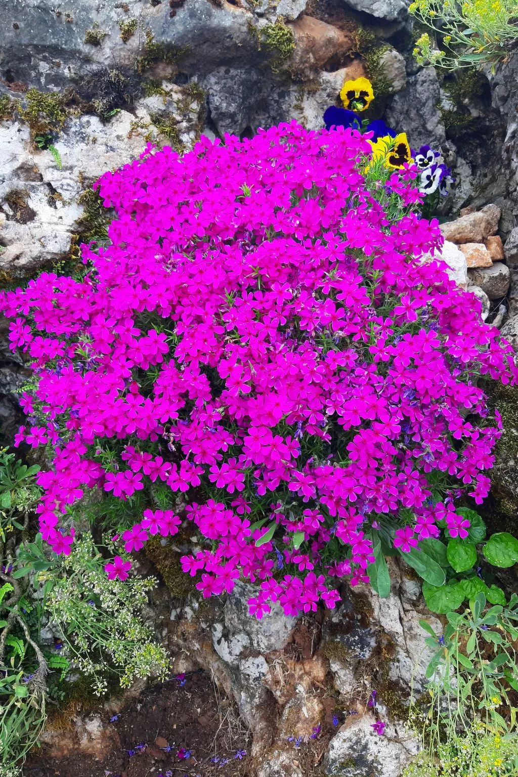 Romantische Villa mit weitläufigem Garten-Buiten