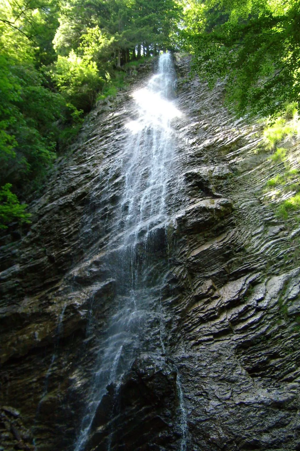 Betttis Bungalow-Image-tags.info