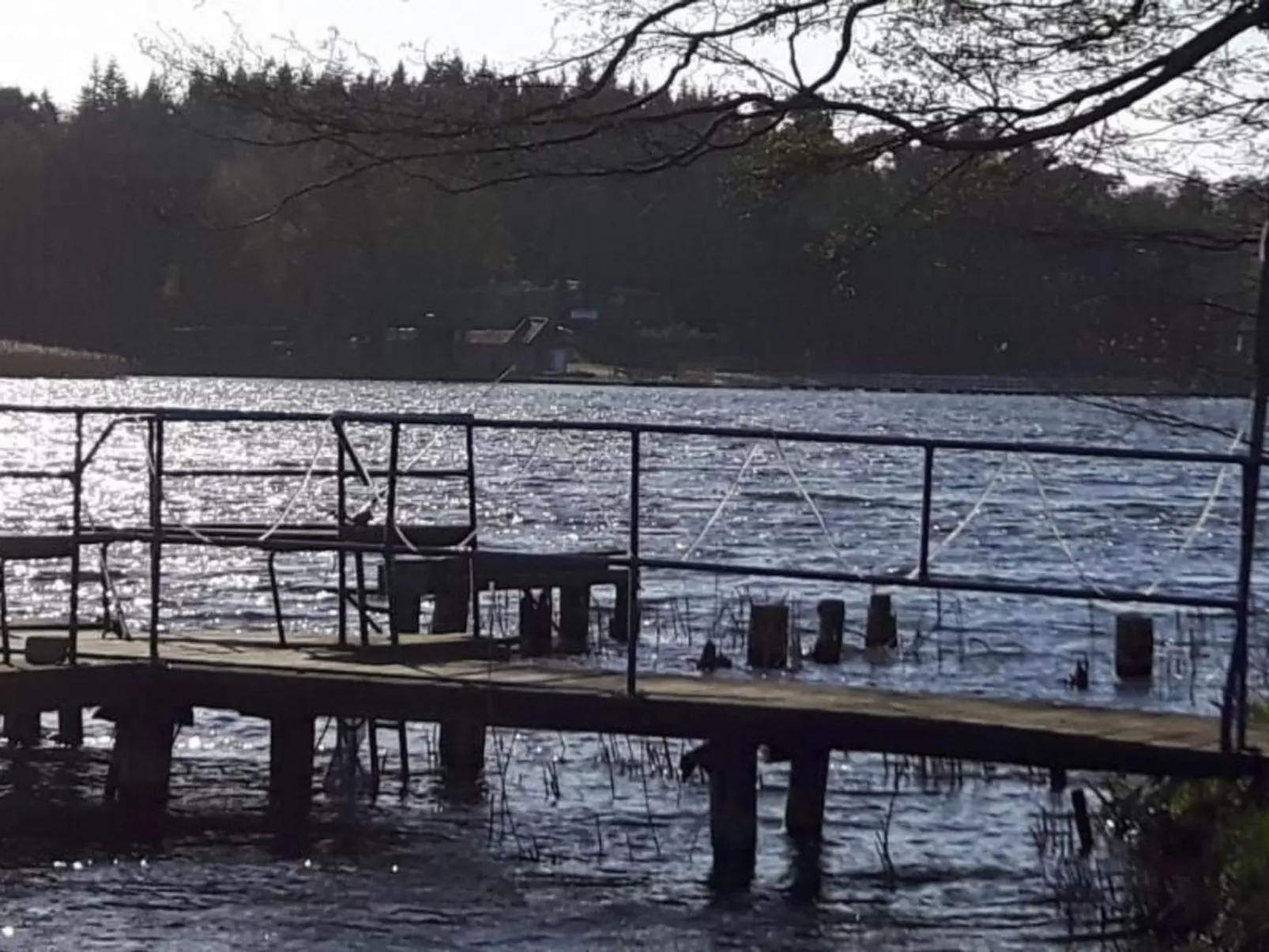 Ferienhaus Claire am Klostersee Urlaub mit Hund-Buiten