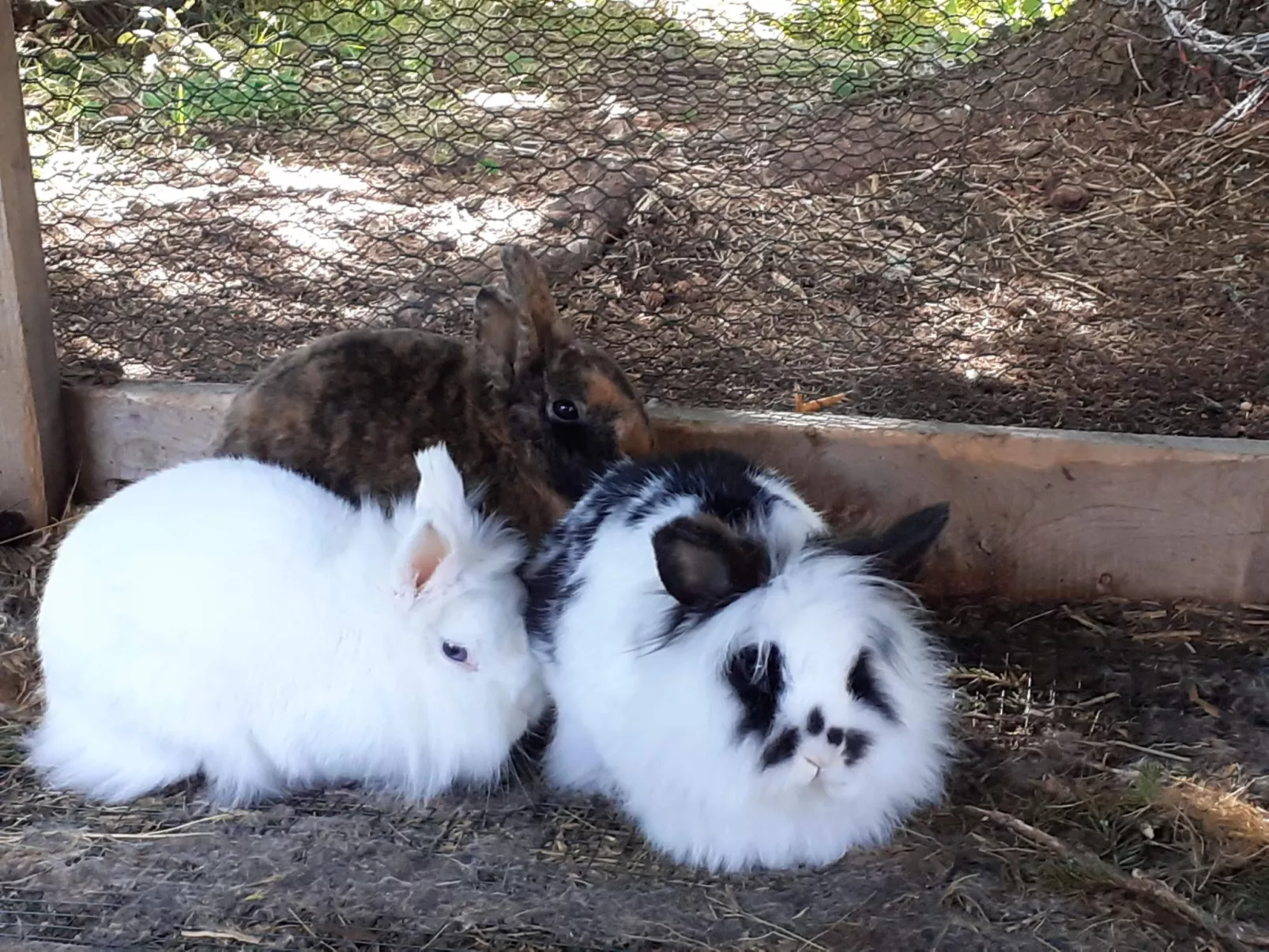 Schönberghütte-Image-tags.info