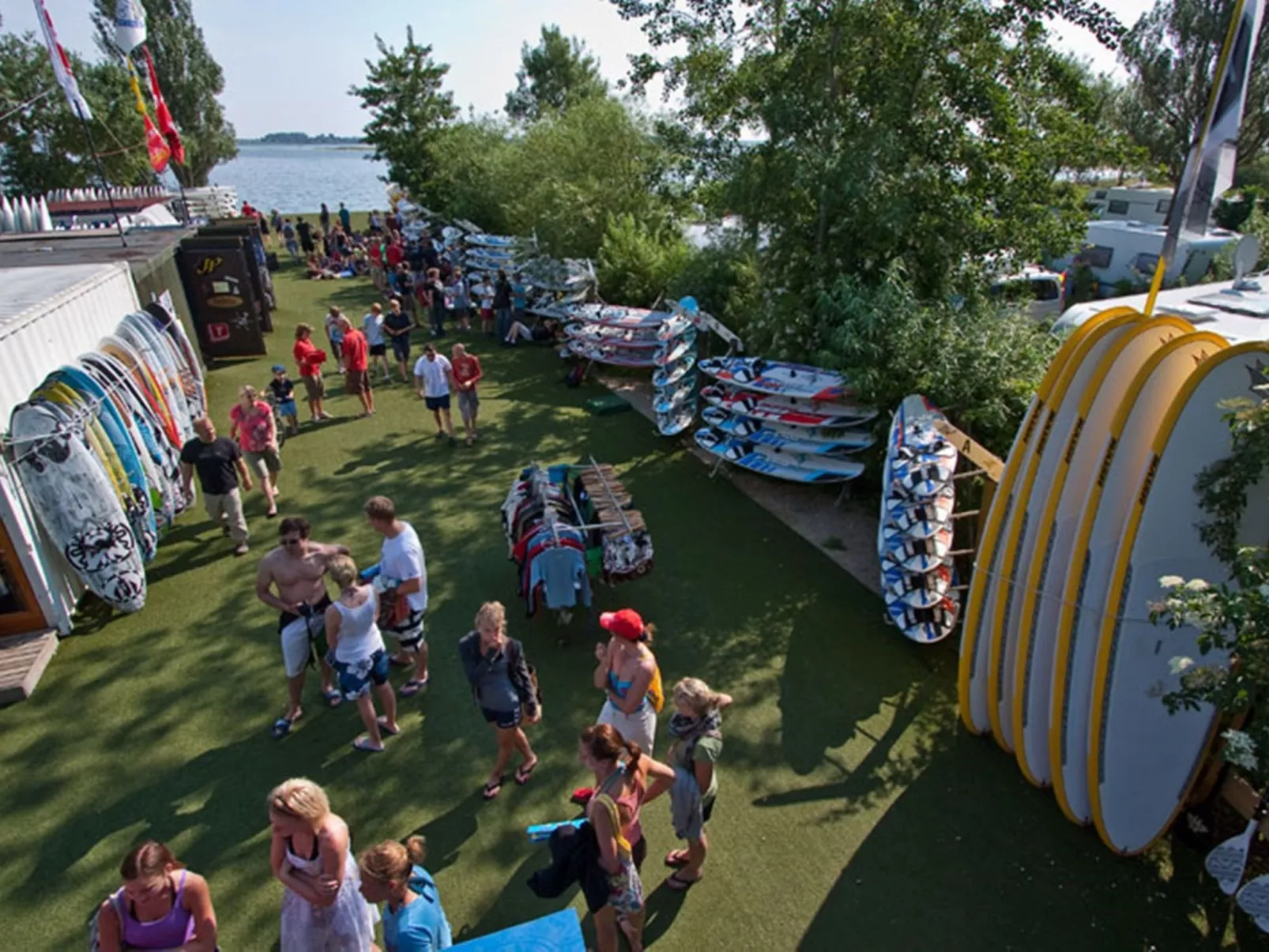 Heringsmöwe in Neue Tiefe-Image-tags.info