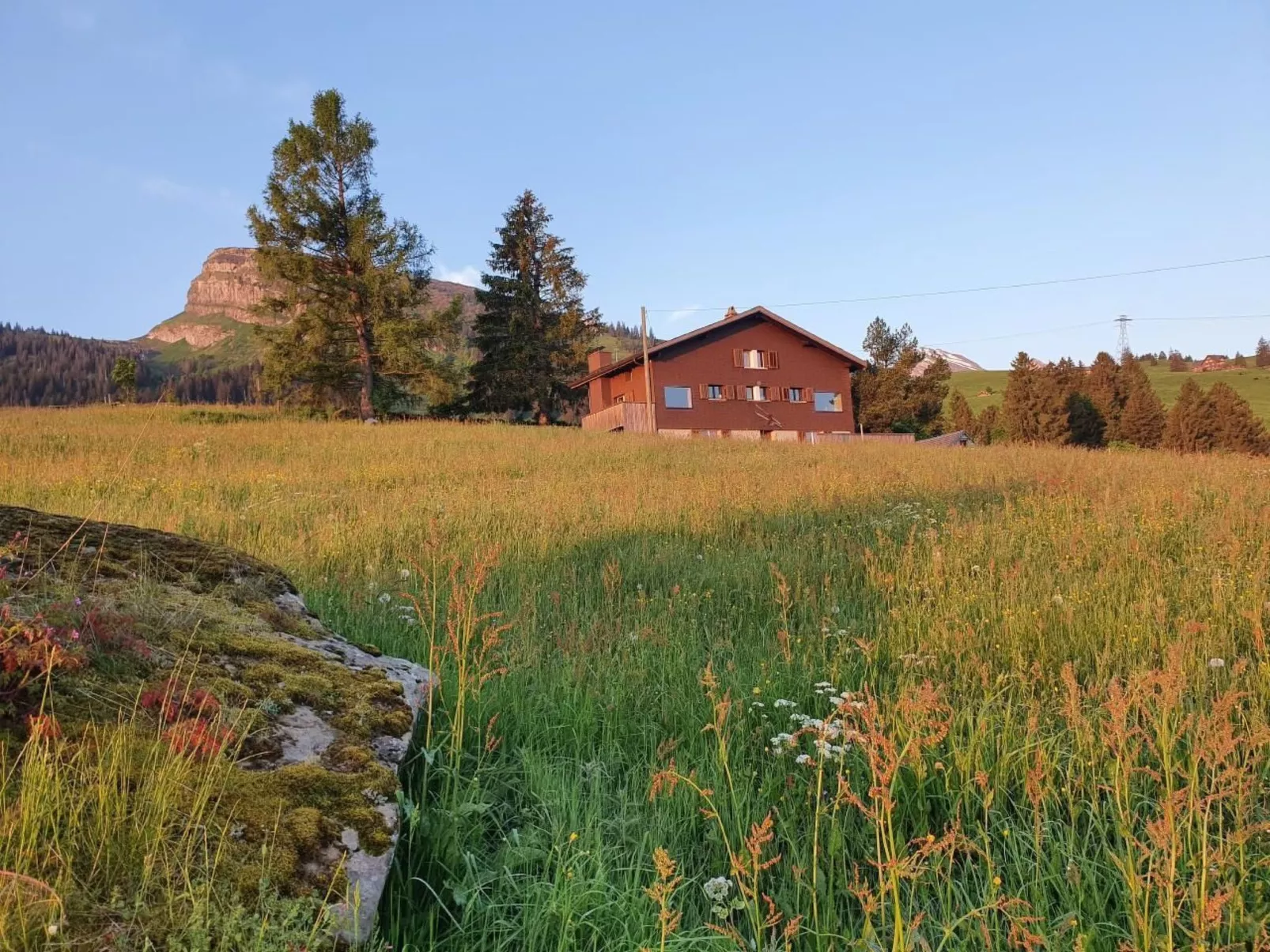 Oberguet-Image-tags.info