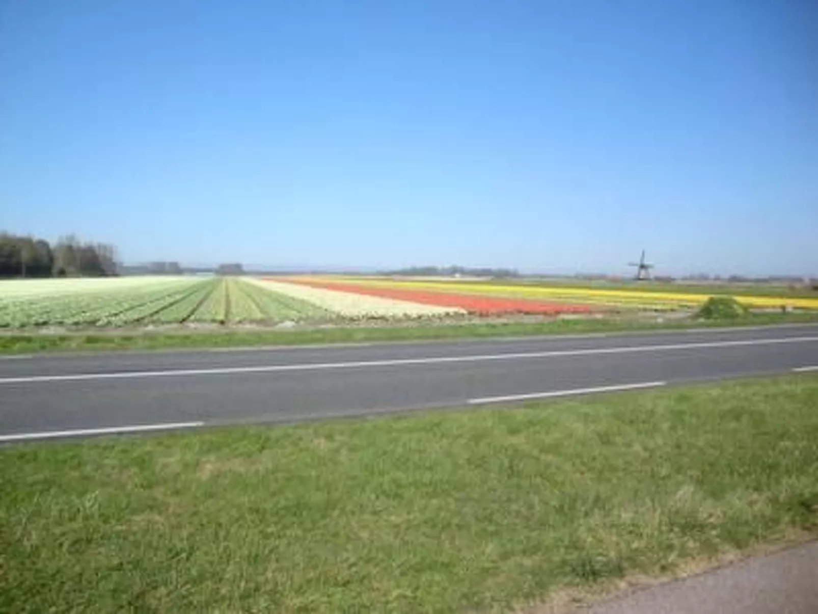 Ferienvilla mit Garten, Grill und Terrasse-Buiten