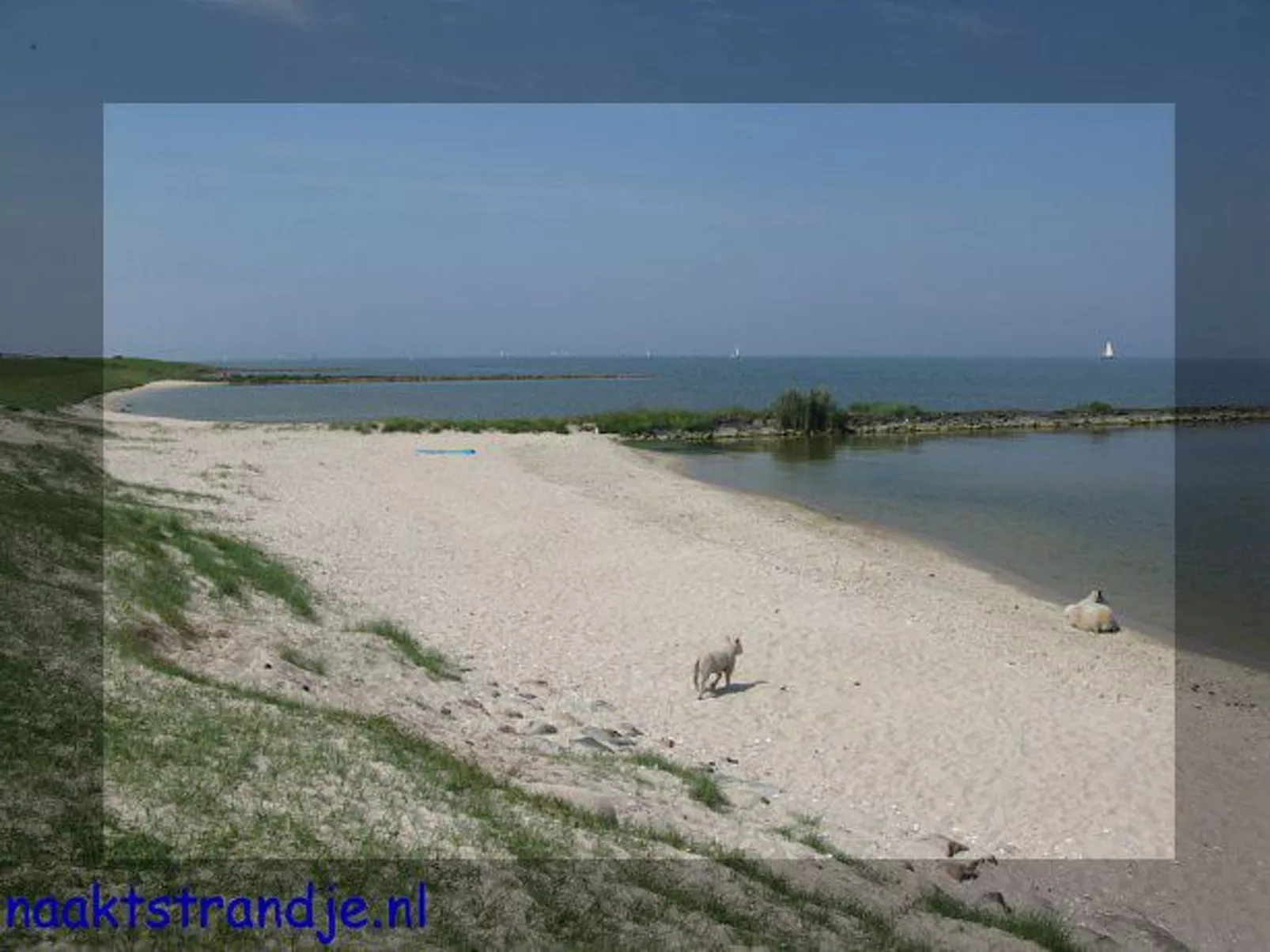 Übernachten im schönen Friesland-Buiten