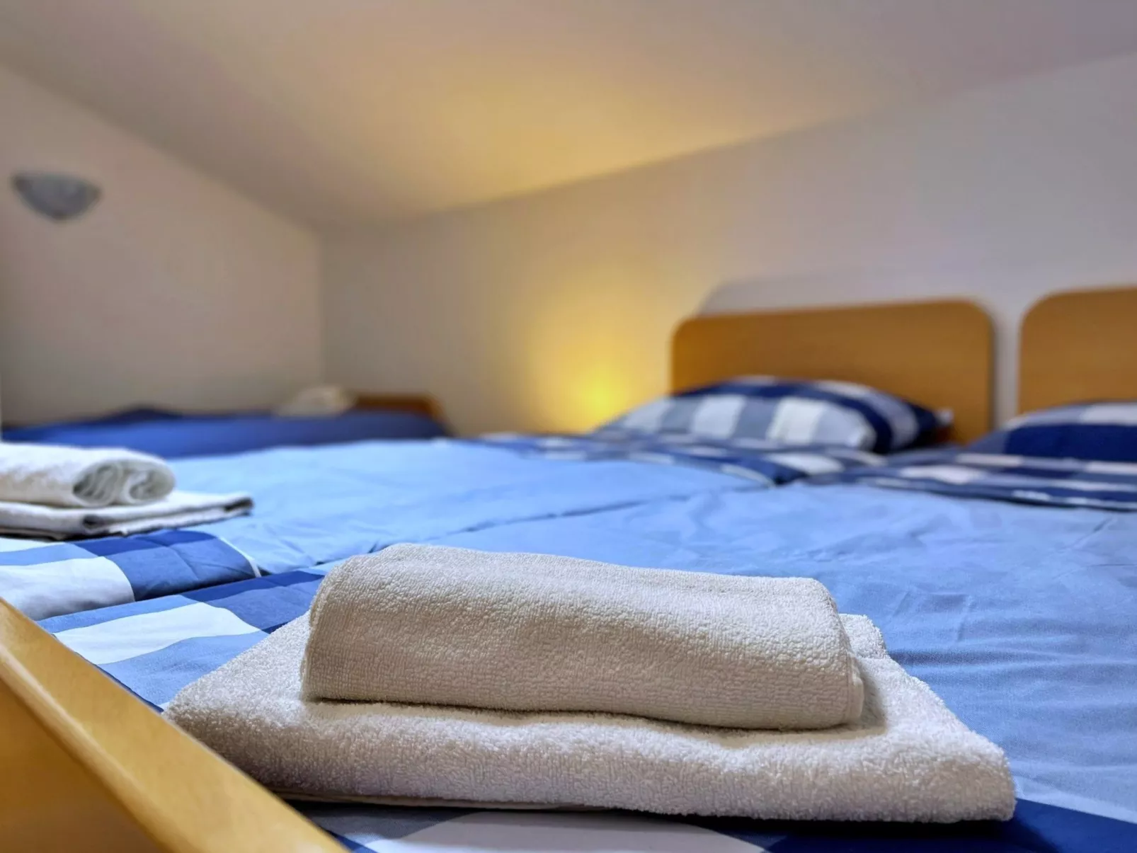 Apartment Neptun - Image-tags.info