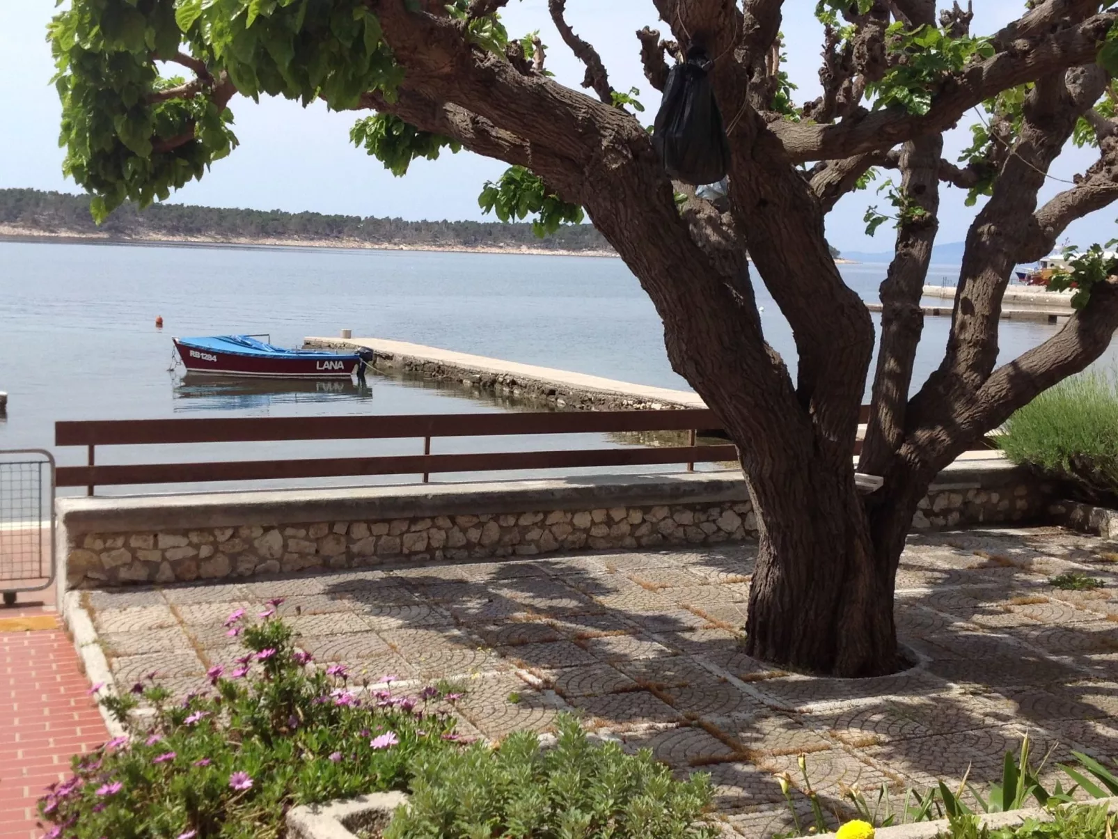 Wohnung 1 mit Meerblick-Image-tags.info