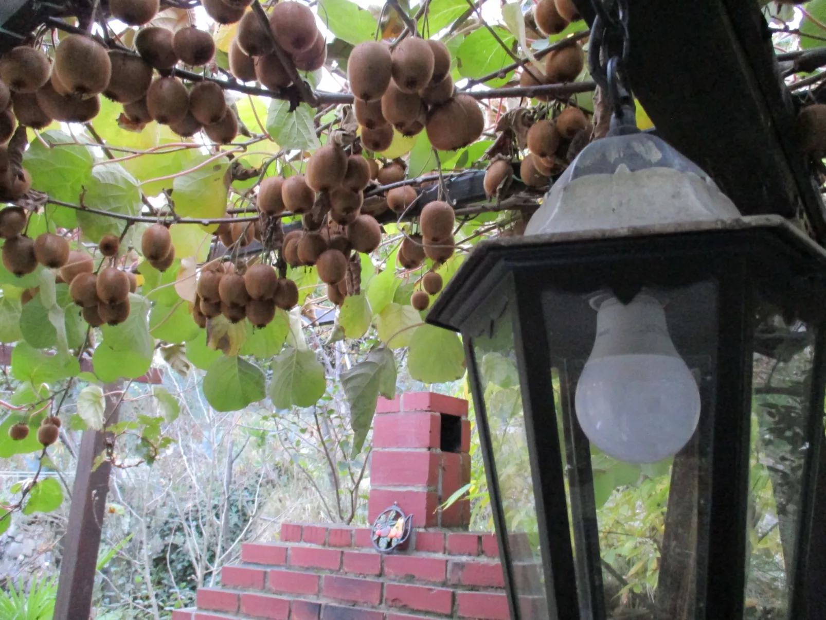 Mit Balkon und Terrasse-Image-tags.info