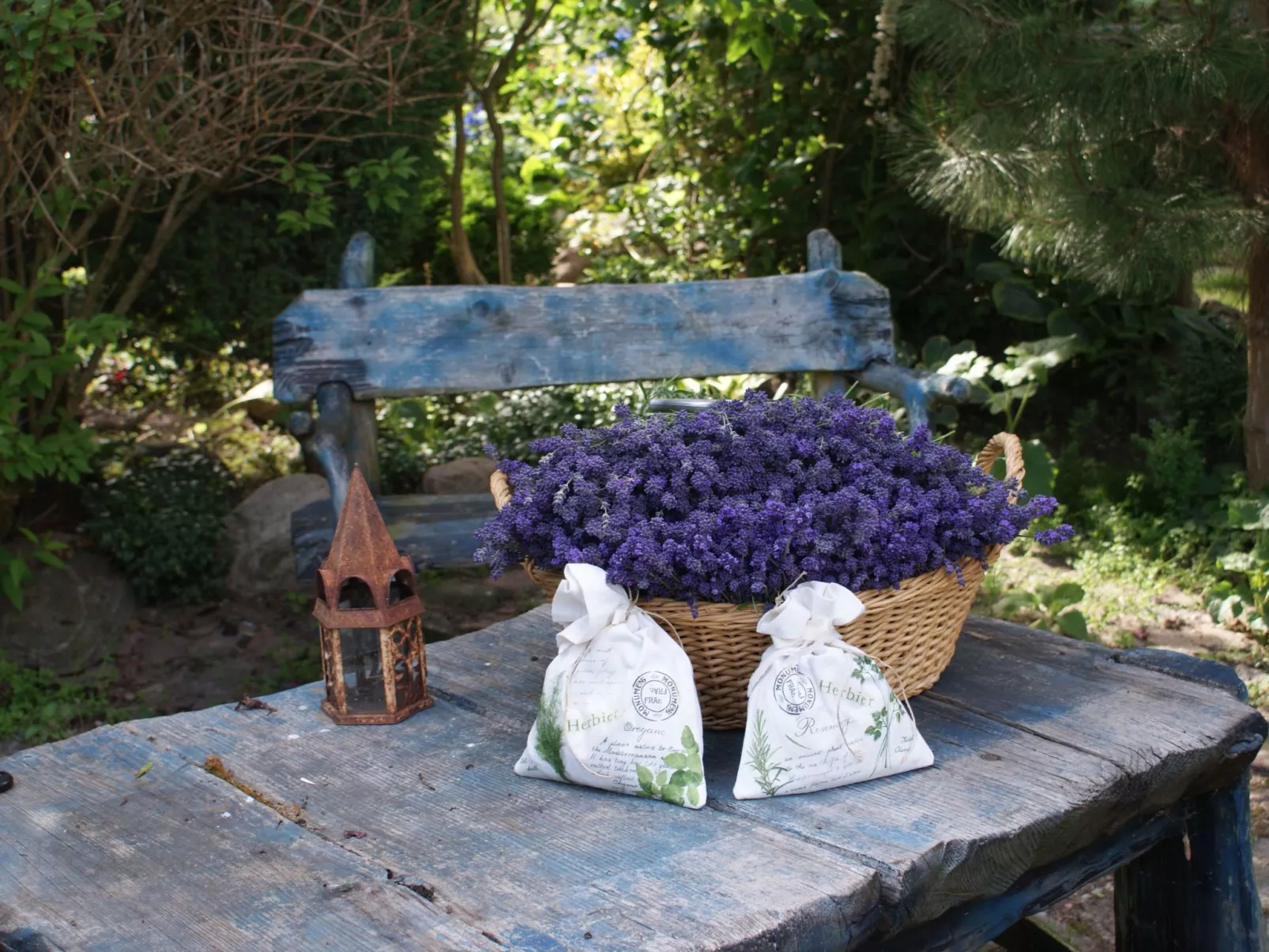 Meer, Landschaft, Stille - Ferienhäuser in den Gärten von Magra-Buiten