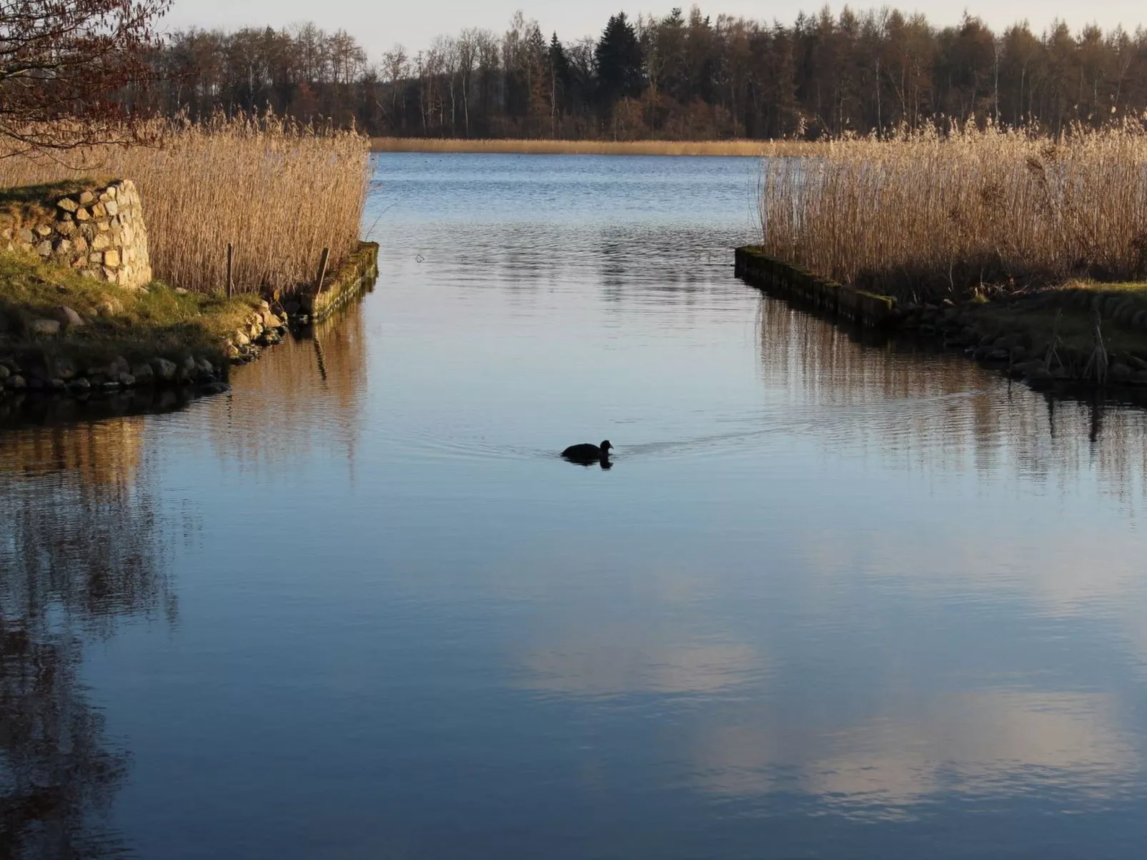 Residenz KrakowerSee-Buiten