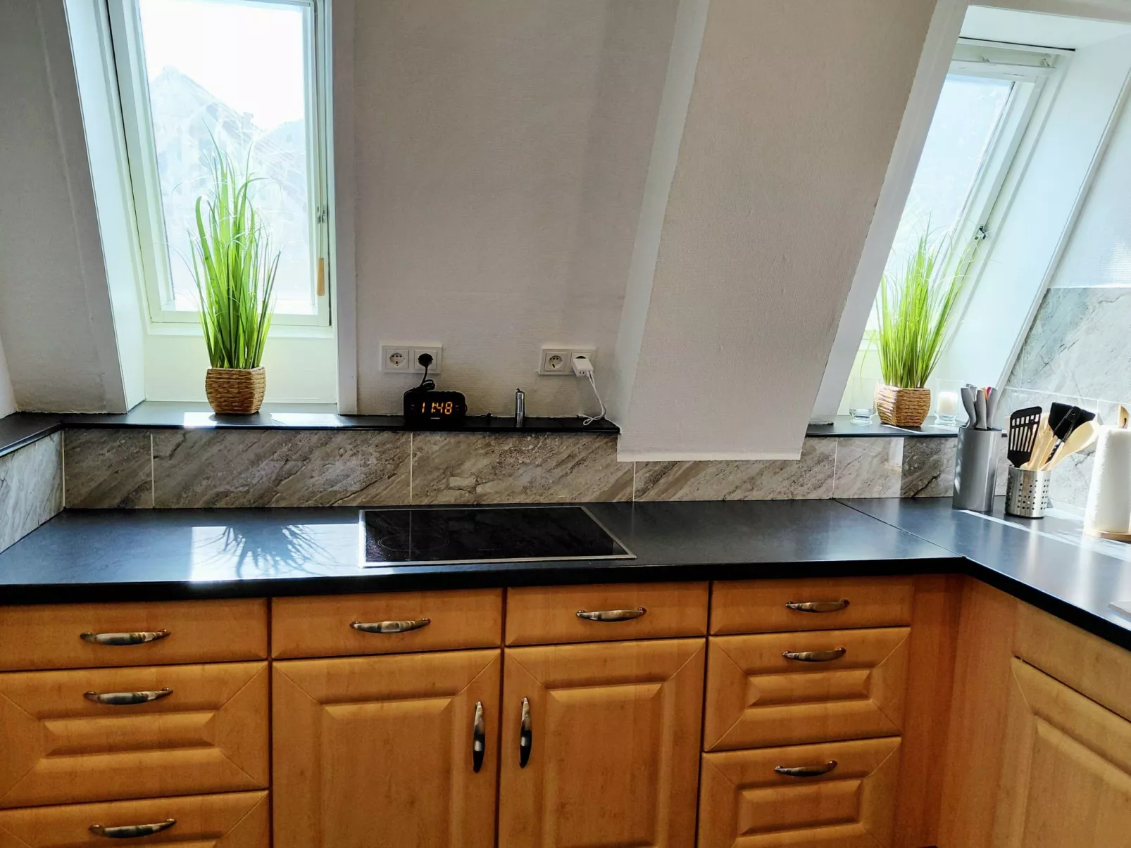 Wanderfalke II-Image-tags.info