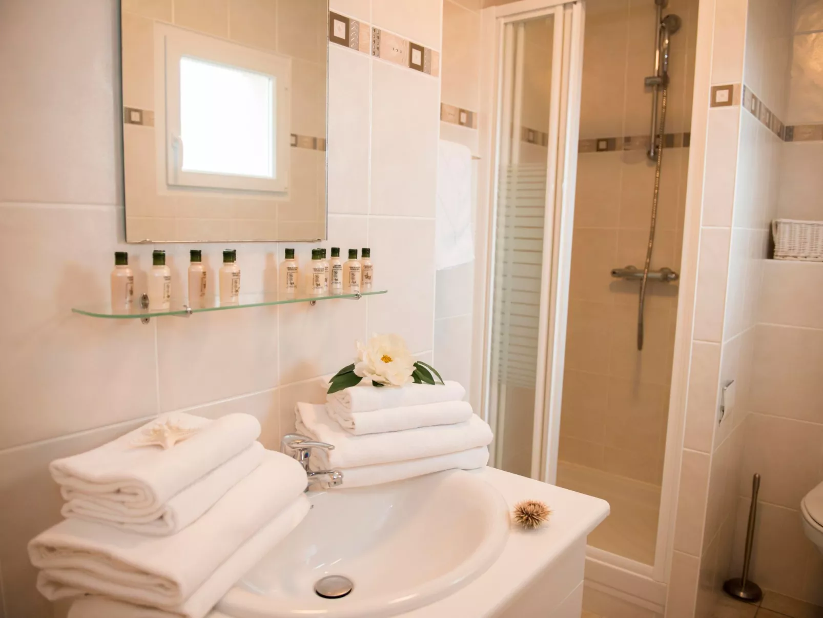 "Acacia" mit eigenem Pool-Image-tags.info