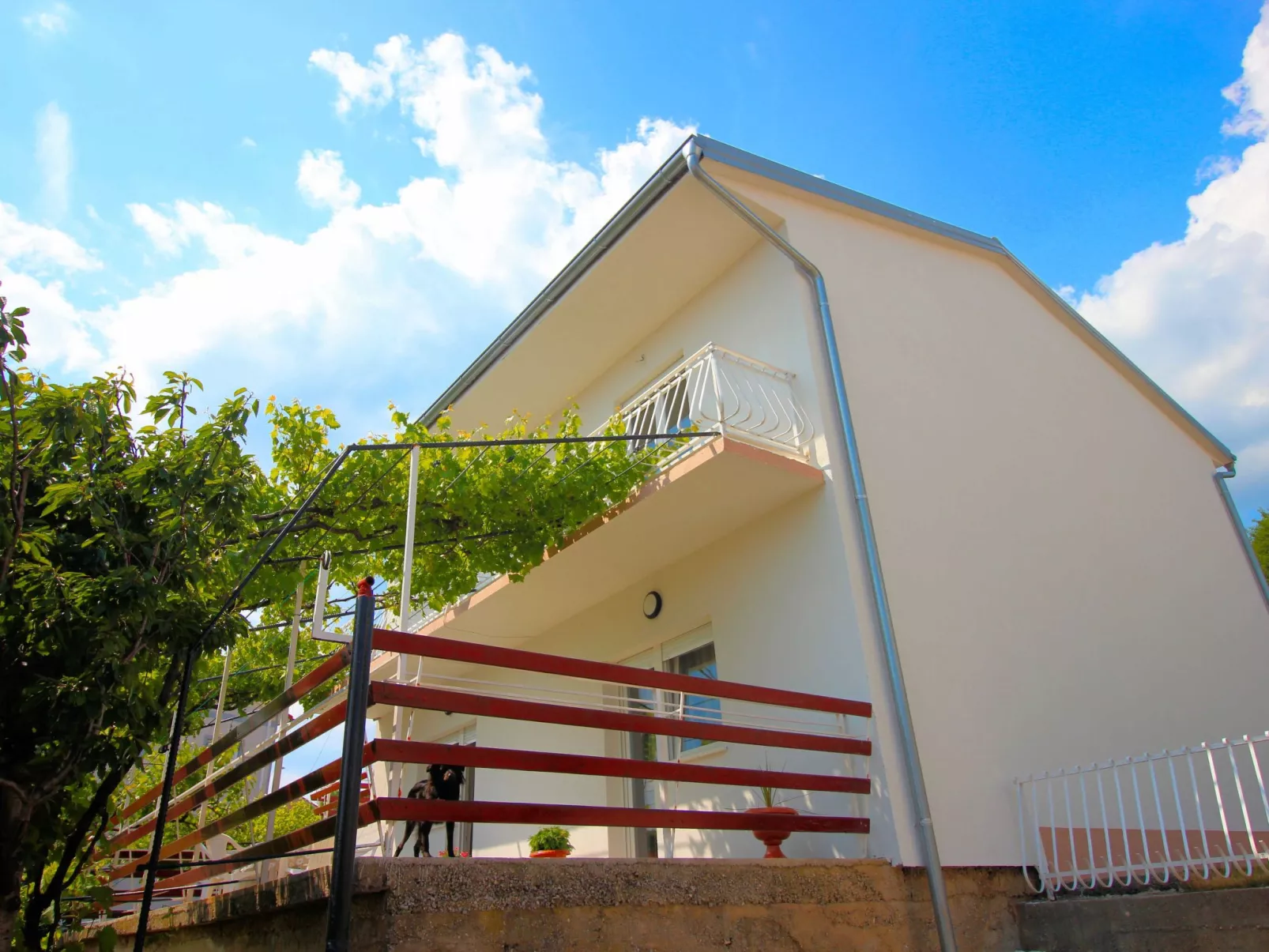 "Mihaljevic Tatjana"-Buiten