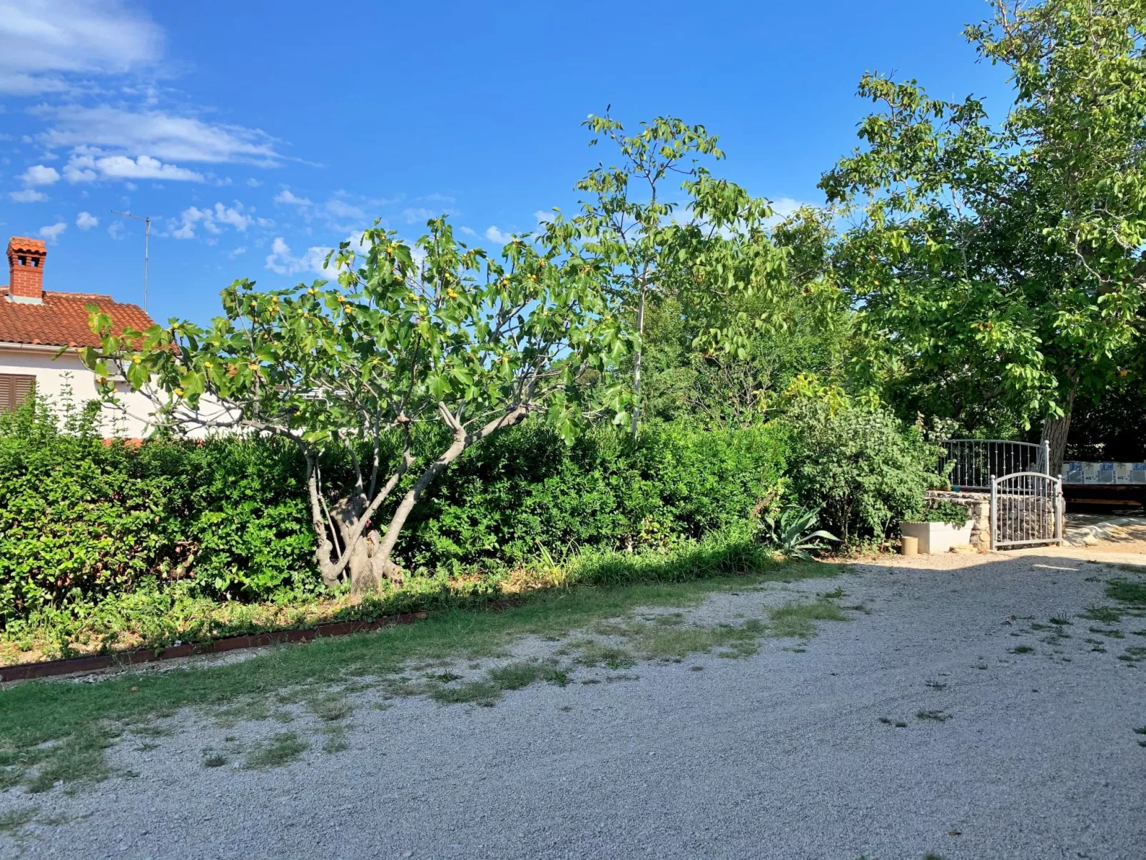 Apartment Gordana-Buiten